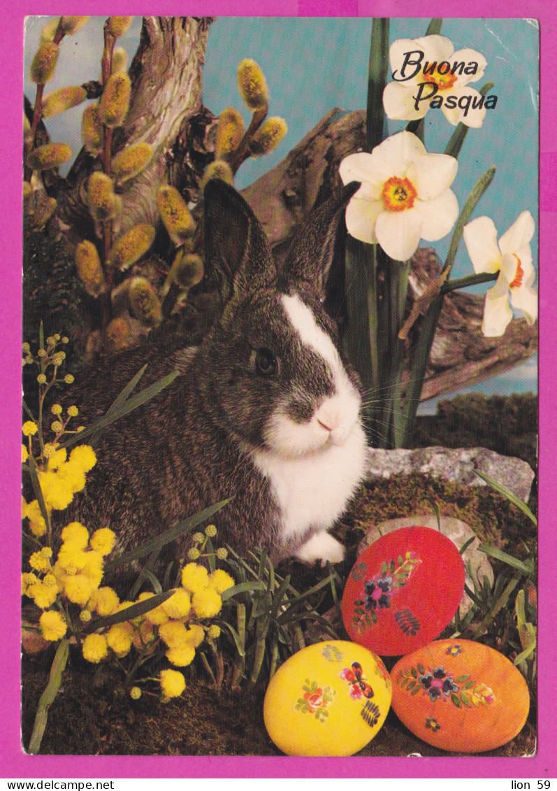 293857 / Italy - Buona Pasqua Happy Easter Rabbit Eggs Flowers PC 1984 Bari - Palese USED - 350 L Castello Di Mussomeli - 1981-90: Marcophilia