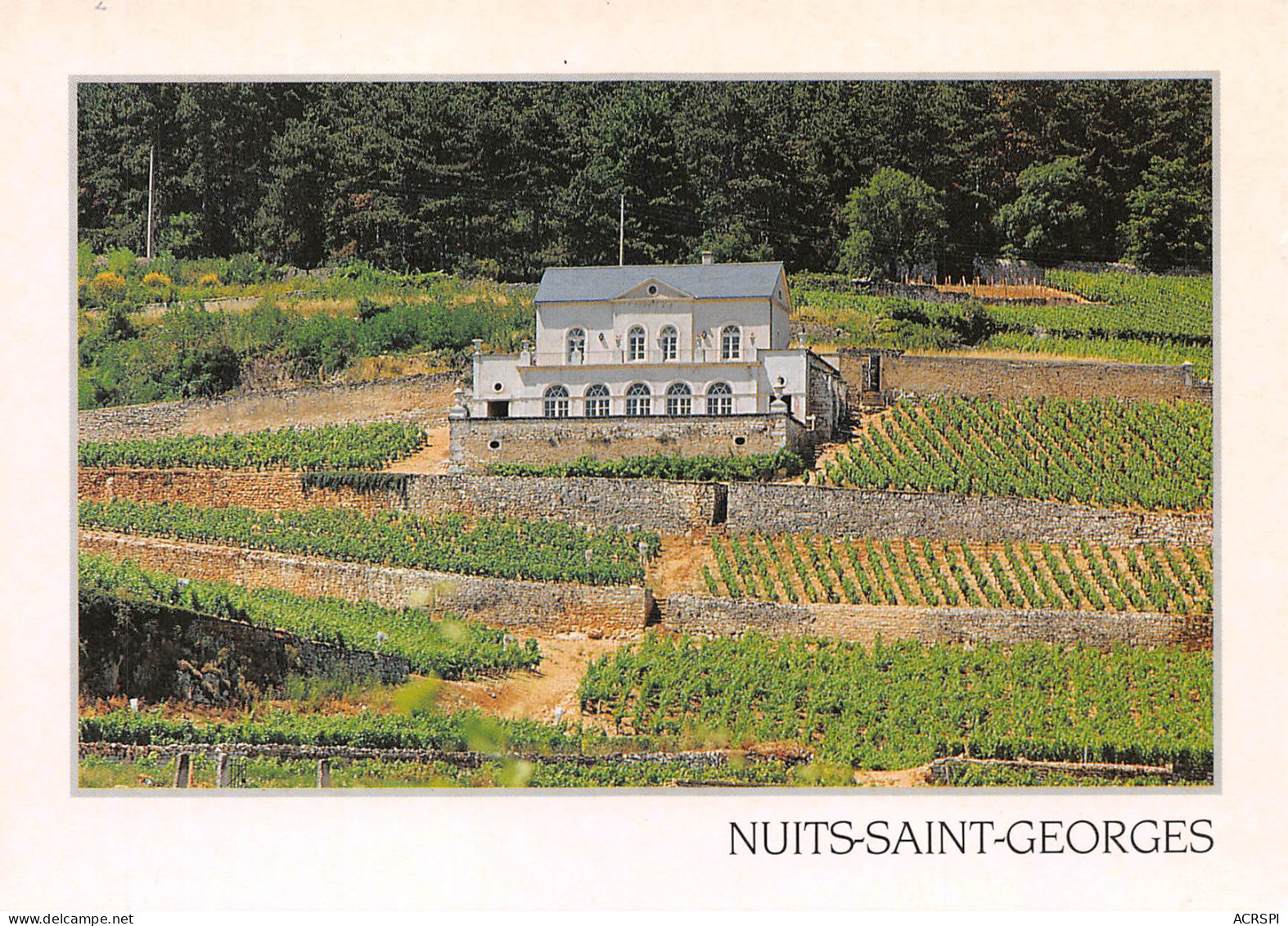 21 NUITS SAINT GEORGES Le Chateau GRIS Carte Vierge Non Circulé (Scans R/V) N° 10 \MO7014 - Nuits Saint Georges