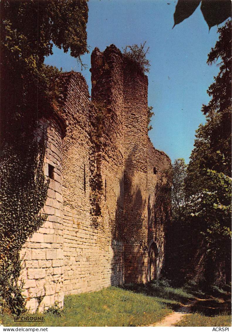 CHATILLON-sur-SEINE  Ruines Du Château Des Ducs De Bourgogne Carte Vierge Non Circulé (Scans R/V) N° 11 \MO7015 - Chatillon Sur Seine