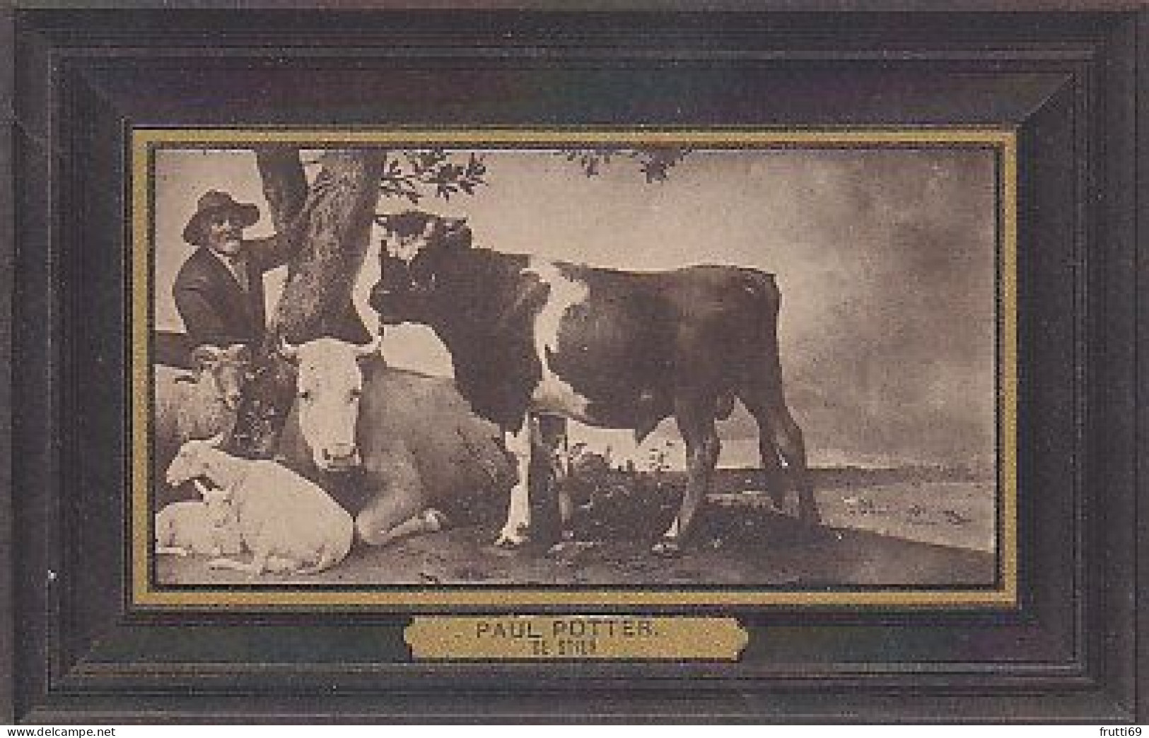 AK 210367 COW / KUH ... - Cows