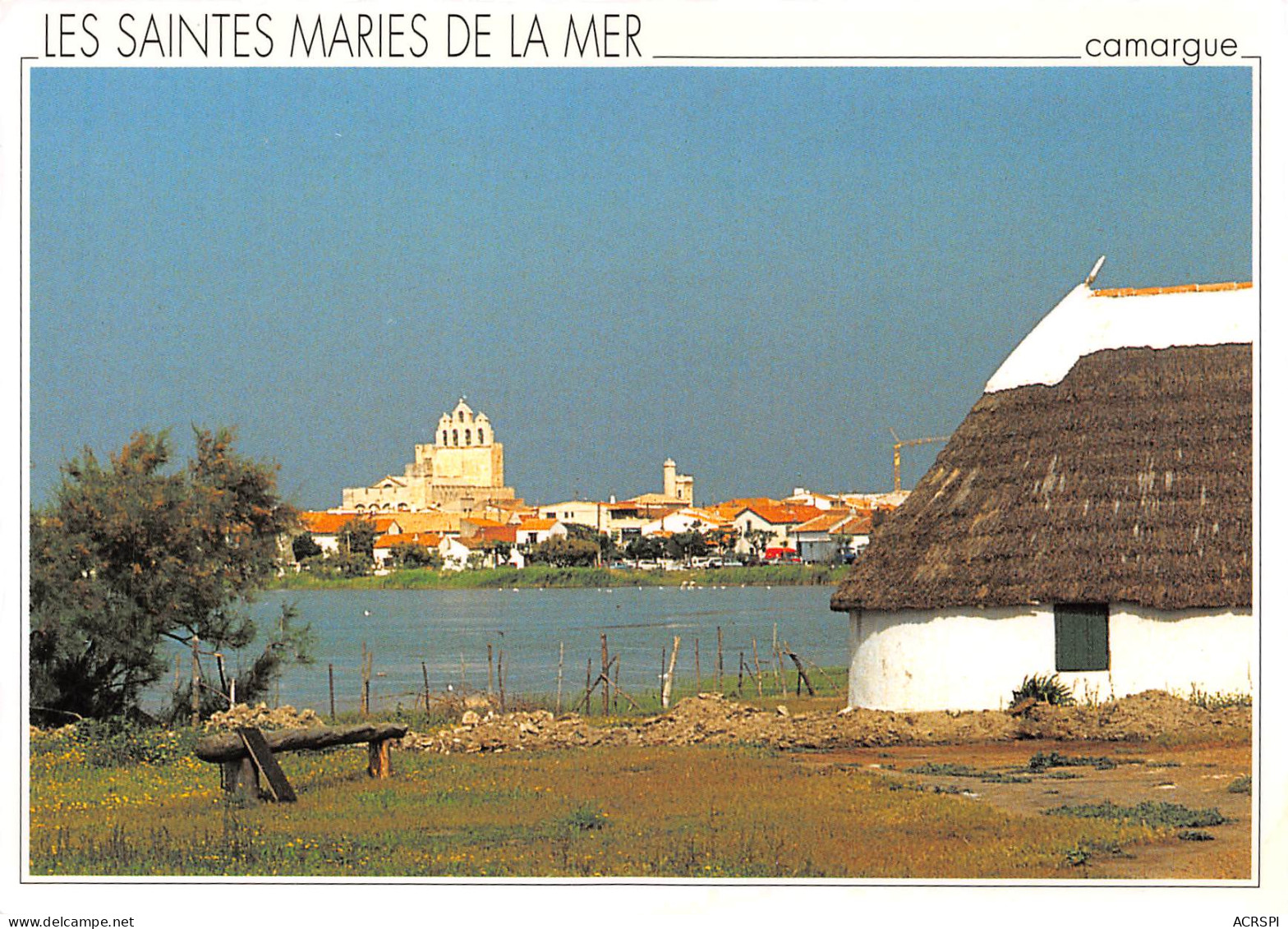 SAINTES MARIES De La MER Vue Panoramique Non Circulé (scan R/V) N° 40 \MO7021 - Saintes Maries De La Mer