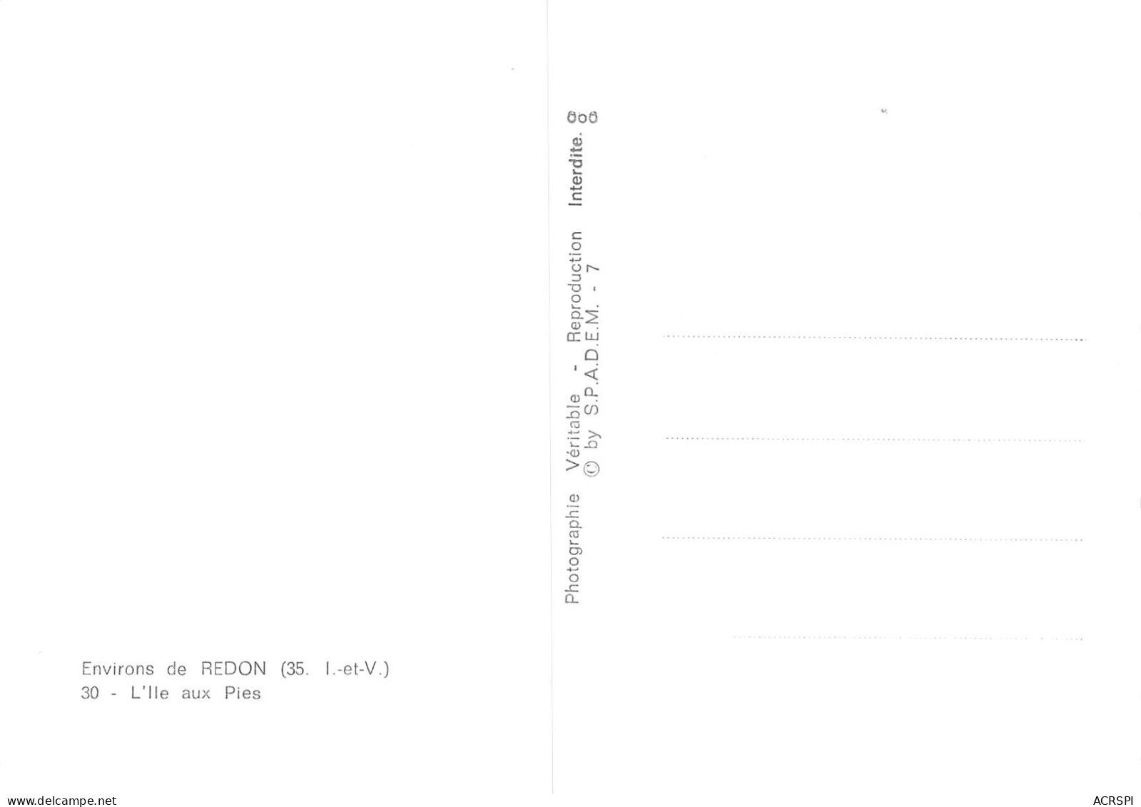 35 REDON L'Ile Aux Pies  Carte Vierge Non Circulé (scan R/V) N° 59 \ MO7023 - Redon