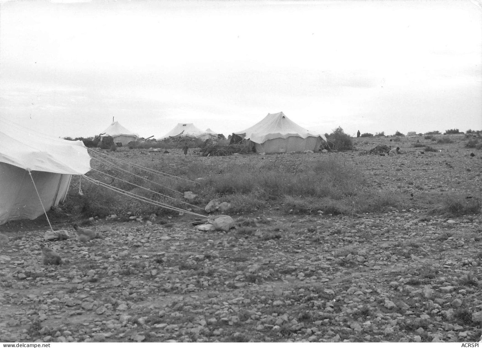 TURQUIE Travaux à Mersin  Tentes Des Ouvriers Année 1966 (scan R/V )  N° 78 \MO7028 - Turquia