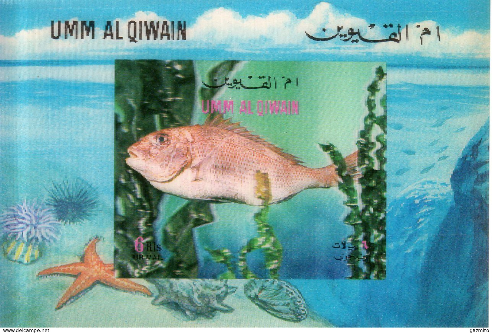 Umm Al Qiwain 1972, Fish, Shell, Sea Star, Block - Fishes