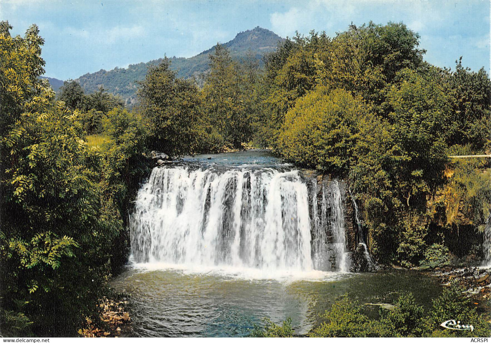 63 SAINT NECTAIRE  La Cascade De SAILLANT Sur La Couze Chambon Carte Vierge Non Circulé  (Scans R/V) N° 62 \MO7030 - Saint Nectaire