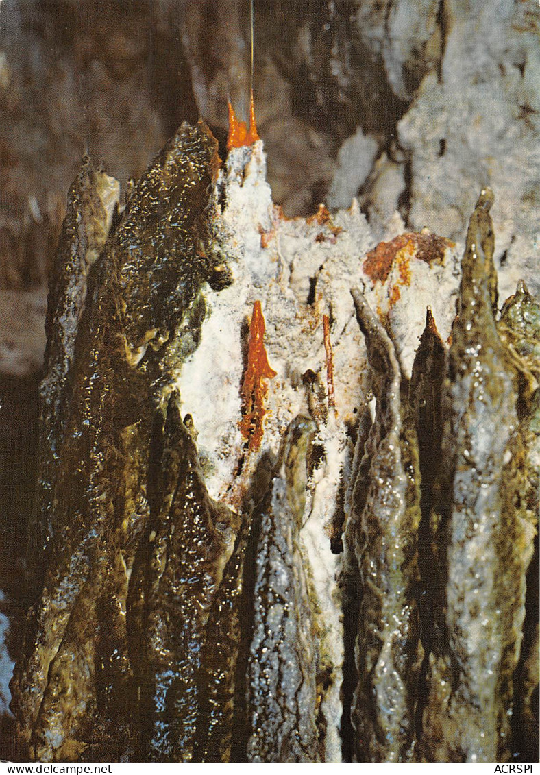 63 SAINT NECTAIRE Grottes Du Mont Cornadore Les Stalactites Carte Vierge édition Du LYS   (Scans R/V) N° 73 \MO7030 - Saint Nectaire