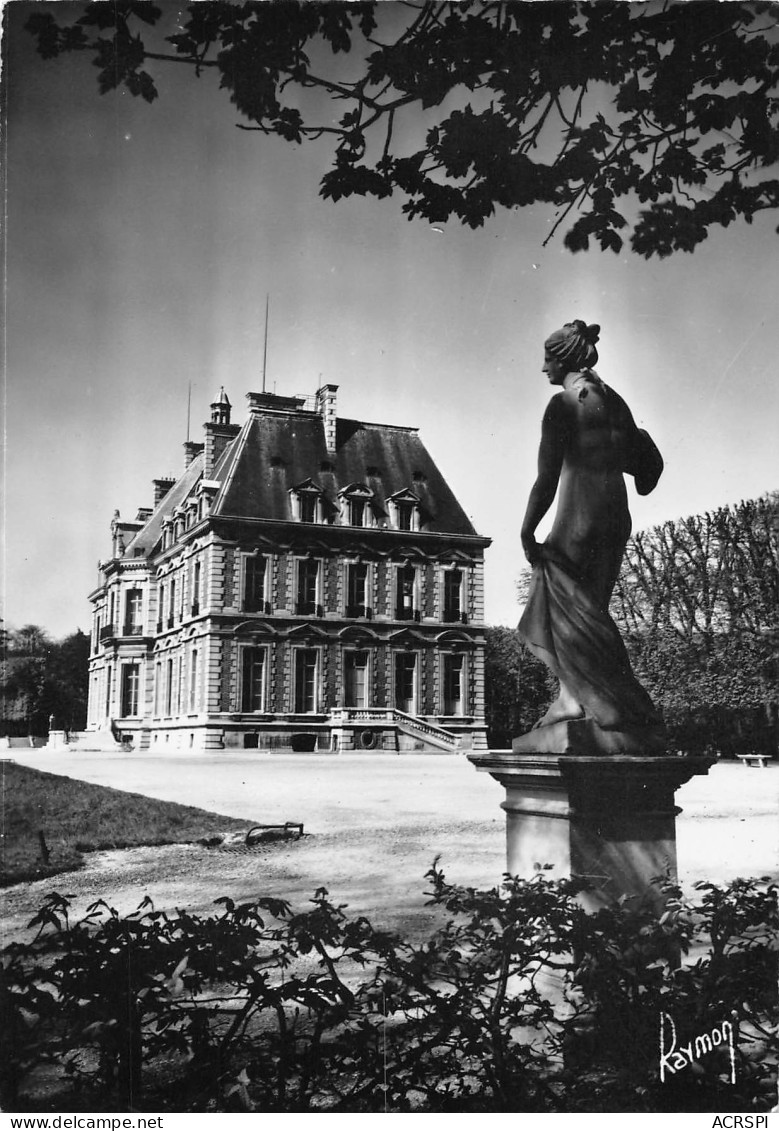 SCEAUX Le Chateau Et Ses Statues Carte Vierge Non Circulé édition Raymon (Scans R/V) N° 54 \MO7038 - Sceaux