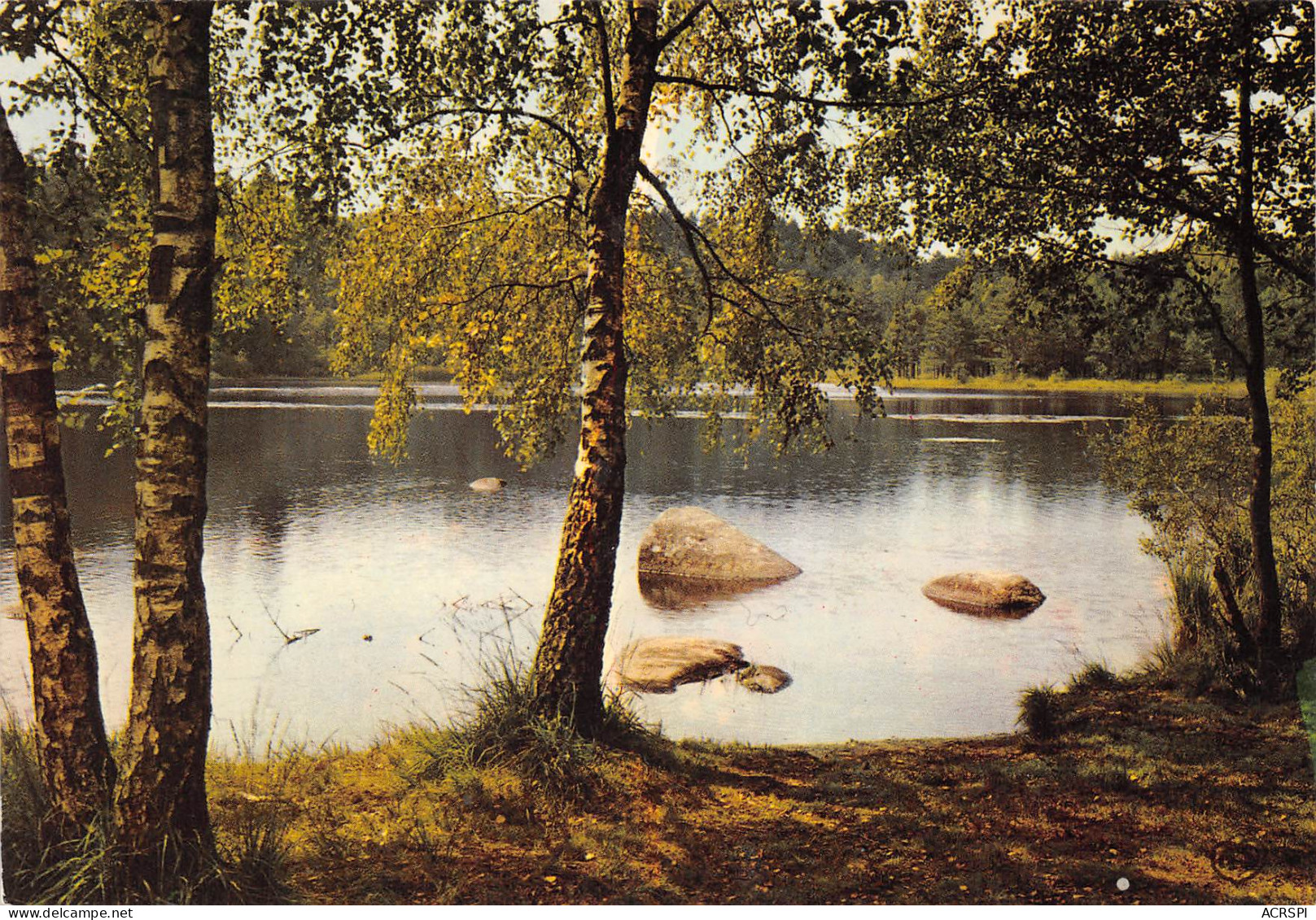 81 CASTRES  Lac Du Merle Dans La Sidobre Carte Vierge Non Circulé édition APA-POUX (Scans R/V) N° 65 \MO7051 - Castres