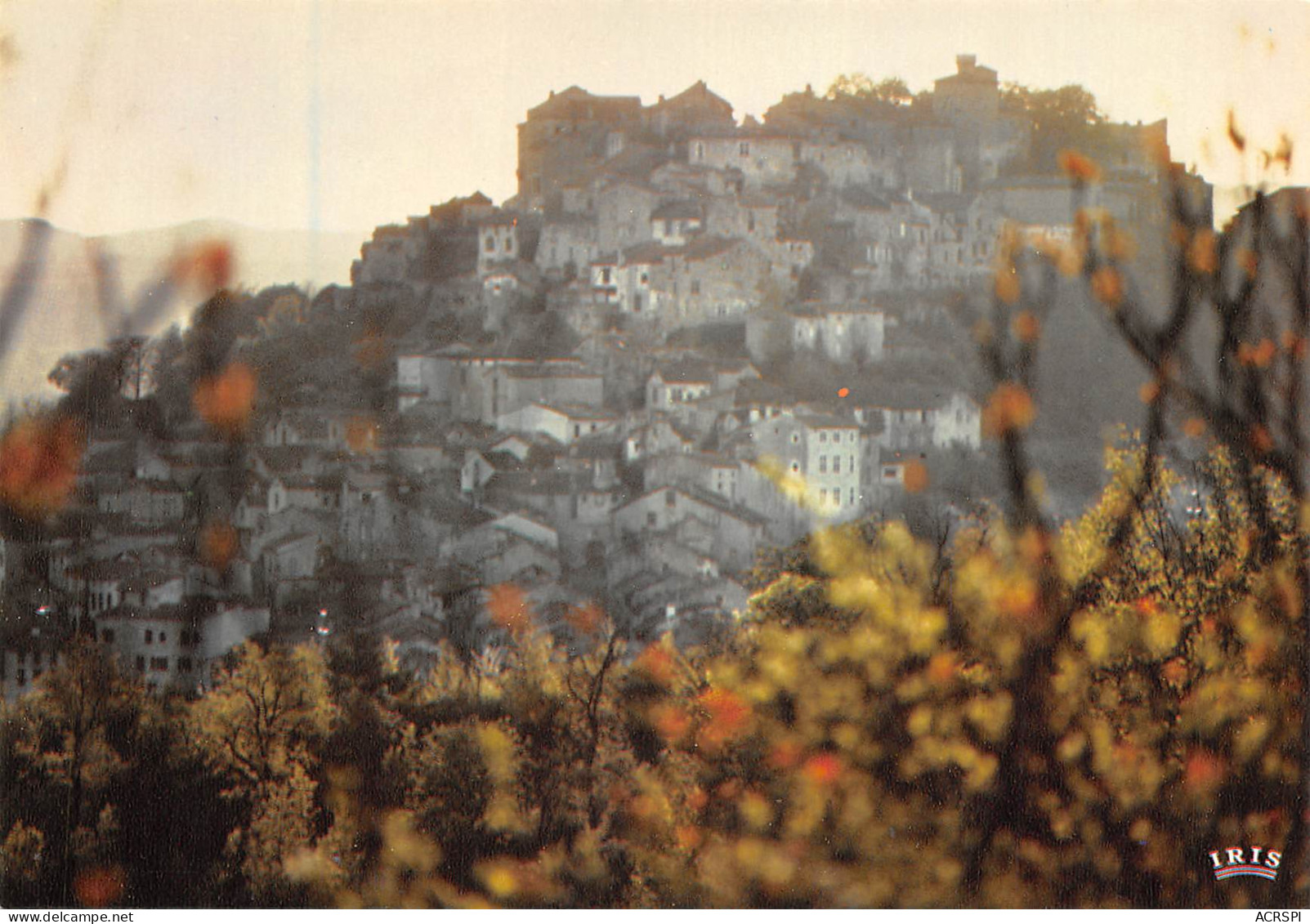 81 CORDES Sur CIEL Vue Générale Dans La Brume Carte Vierge Non Circulé édition CAP-THEOJAC (Scans R/V) N° 31 \MO7053 - Cordes