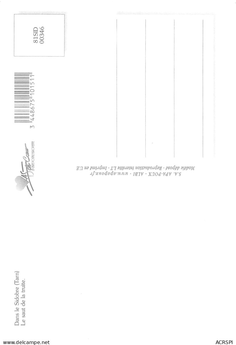 81 CASTRE Le Saut De La Truite Au SIDOBRE Carte Vierge Non Circulé édition Apa-Poux (Scans R/V) N° 5 \MO7055 - Castres