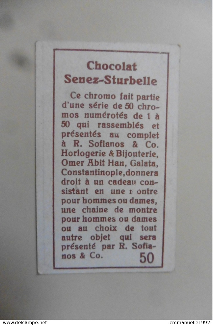 Chromo Chocolat Senez-Sturbelle Galatin Constantinople - Tunisie - Femme - Sonstige & Ohne Zuordnung