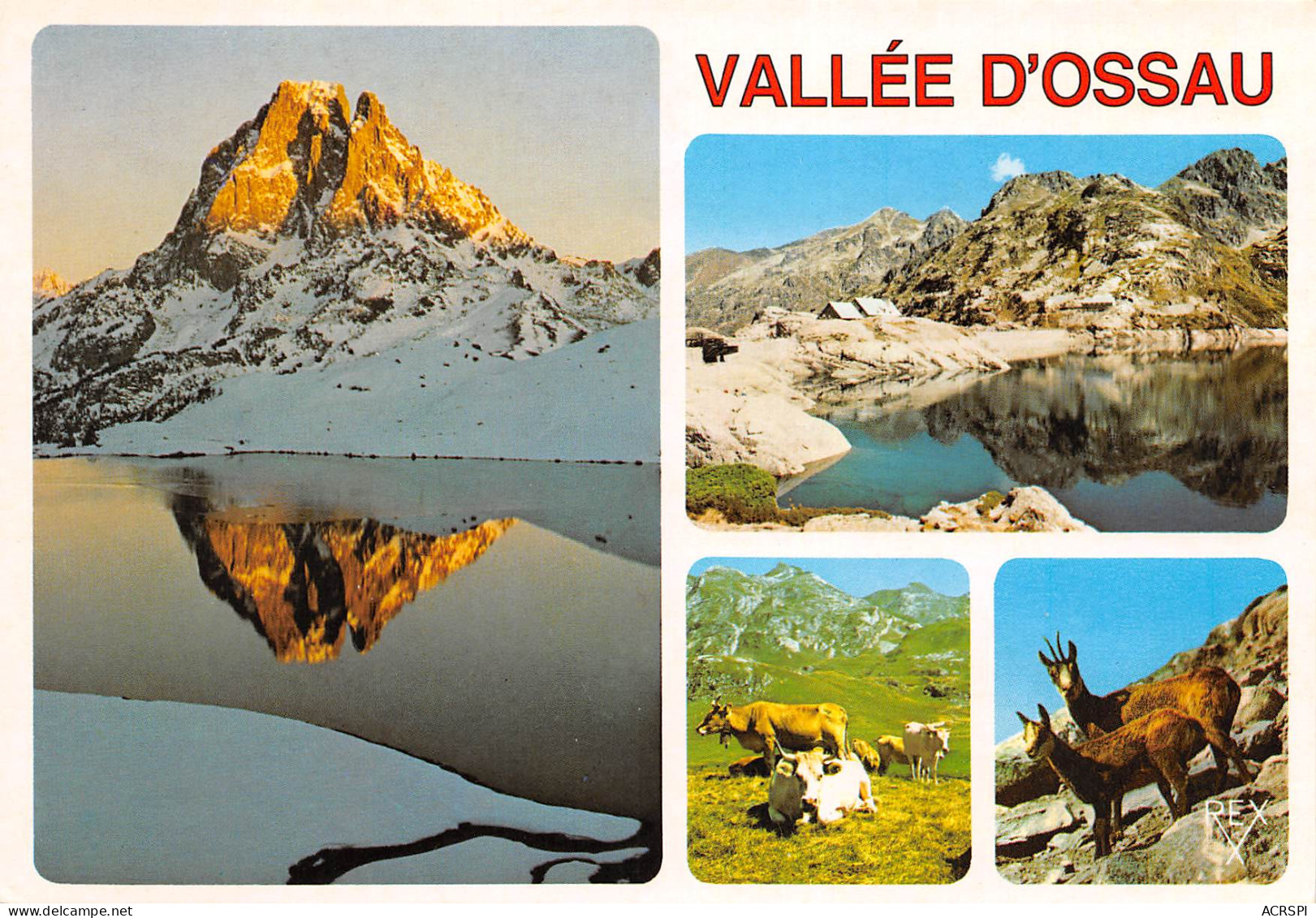 64 Le Lac D'AYOUS Pic Du Midi D'Ossau Gabas Carte Vierge Non Circulé éditions REX (Scans R/V) N° 13 \MO7064 - Laruns