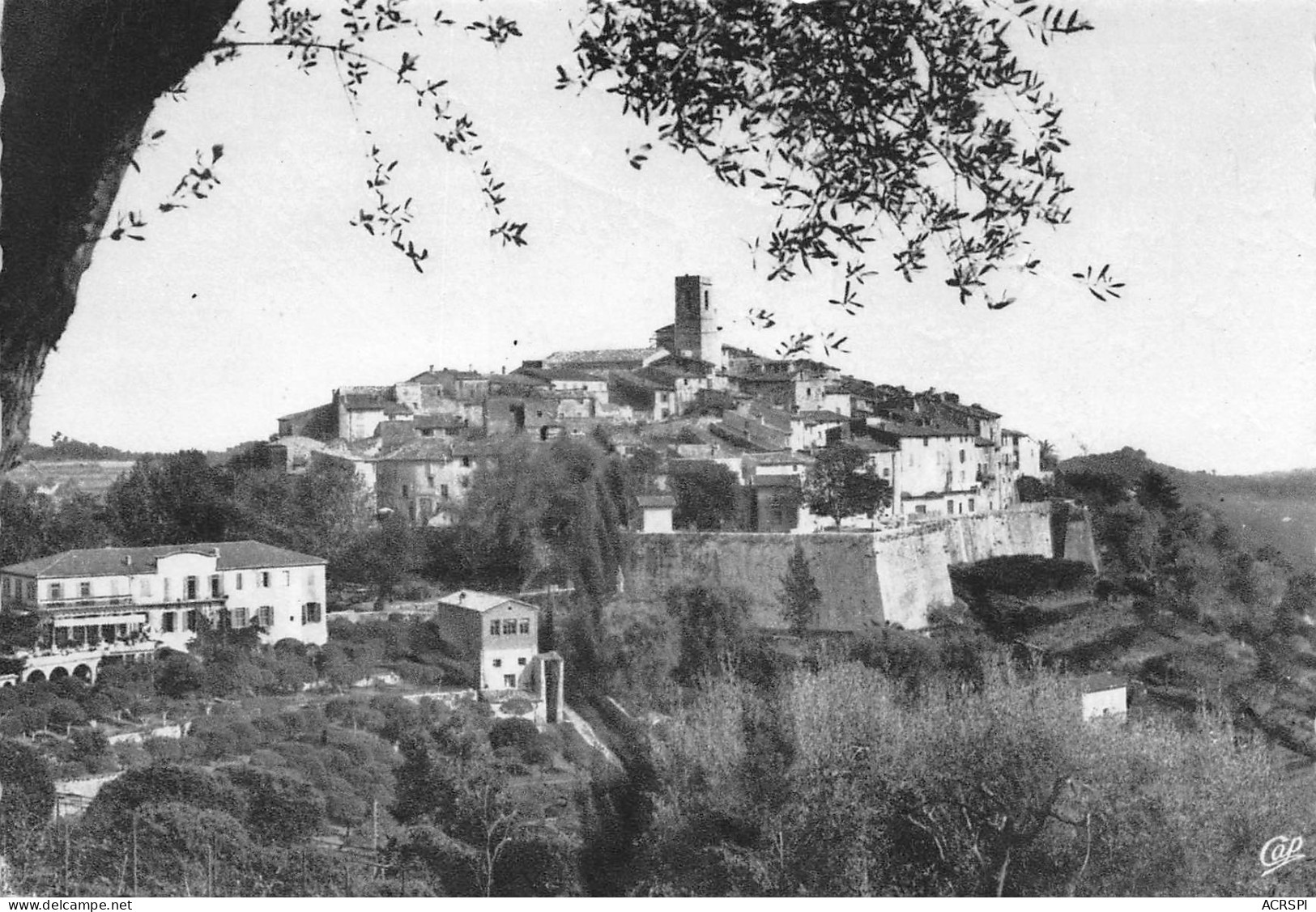 06 SAINT PAUL DE VENCE Vue Générale à Travers Les Oliviers éditions Gilletta (scans R/V) N° 15 \MO7065 - Saint-Paul