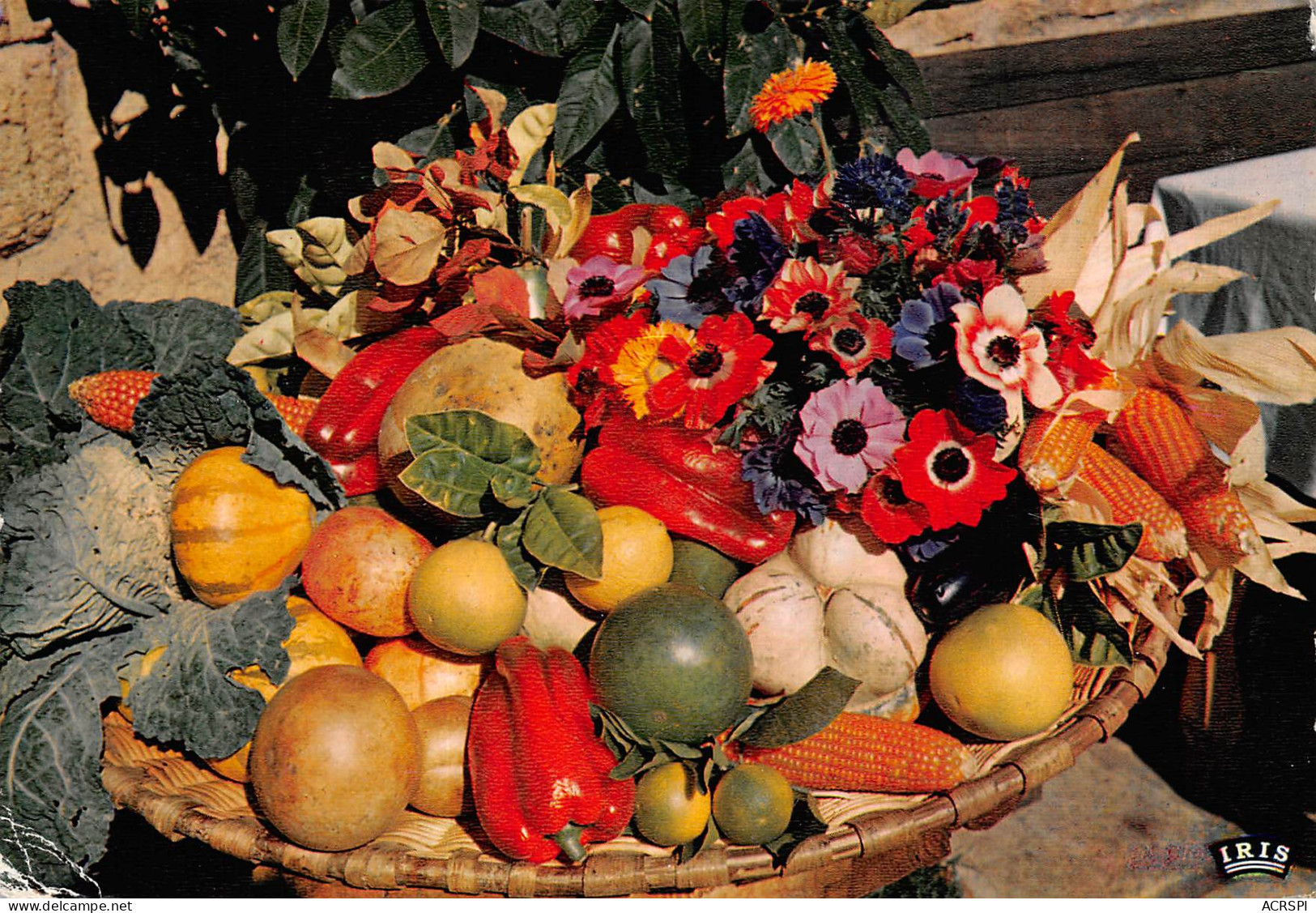 06 SAINT PAUL DE VENCE Hostellerie De La Colombe D'Or Fleurs Et Fruits éditions La Cigogne (scans R/V) N° 28 \MO7065 - Saint-Paul