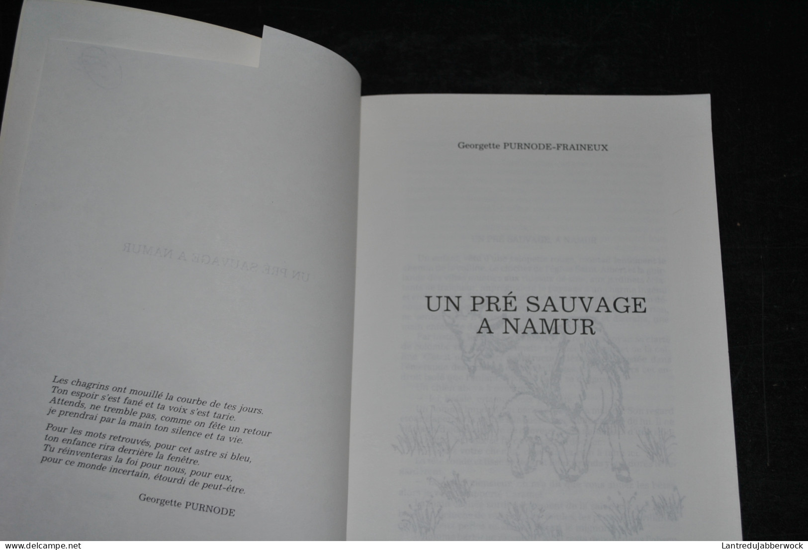 Georgette PURNODE-FRAINEUX Un Pré Sauvage à Namur Ed. Michel Frères Virton 1989 Régionalisme Littérature Régionaliste - Belgio