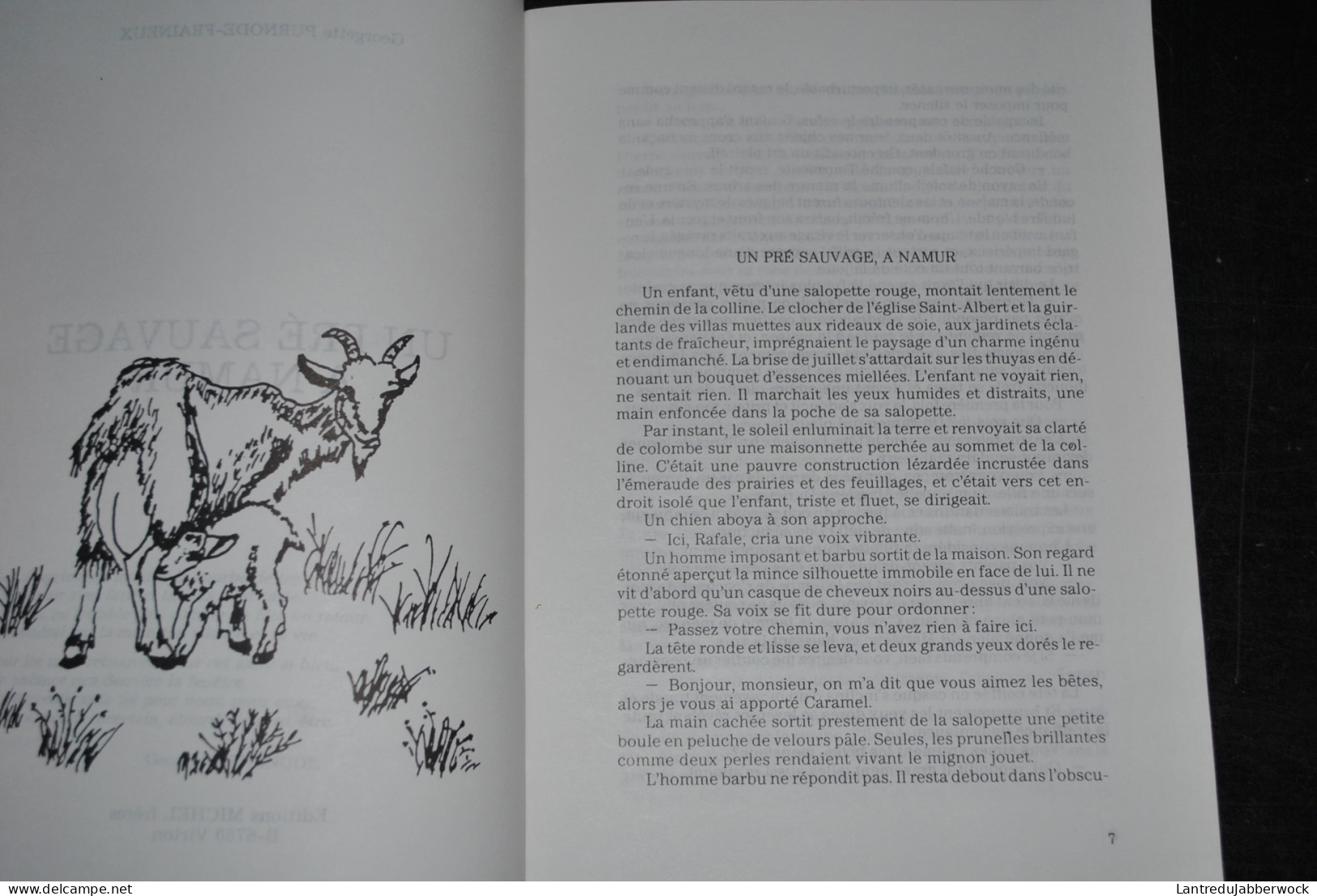 Georgette PURNODE-FRAINEUX Un Pré Sauvage à Namur Ed. Michel Frères Virton 1989 Régionalisme Littérature Régionaliste - Belgium