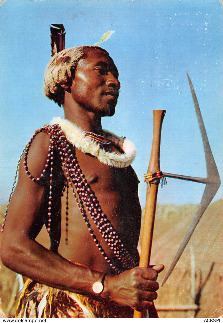 SWAZILAND Guerrier Joli Timbre (Scans R/V) N° 16 \MP7101 - Swaziland