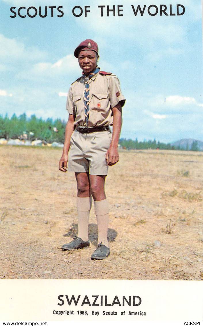 SWAZILAND Jeune Scout Carte Vierge Non Circulé (Scans R/V) N° 14 \MP7101 - Swazilandia