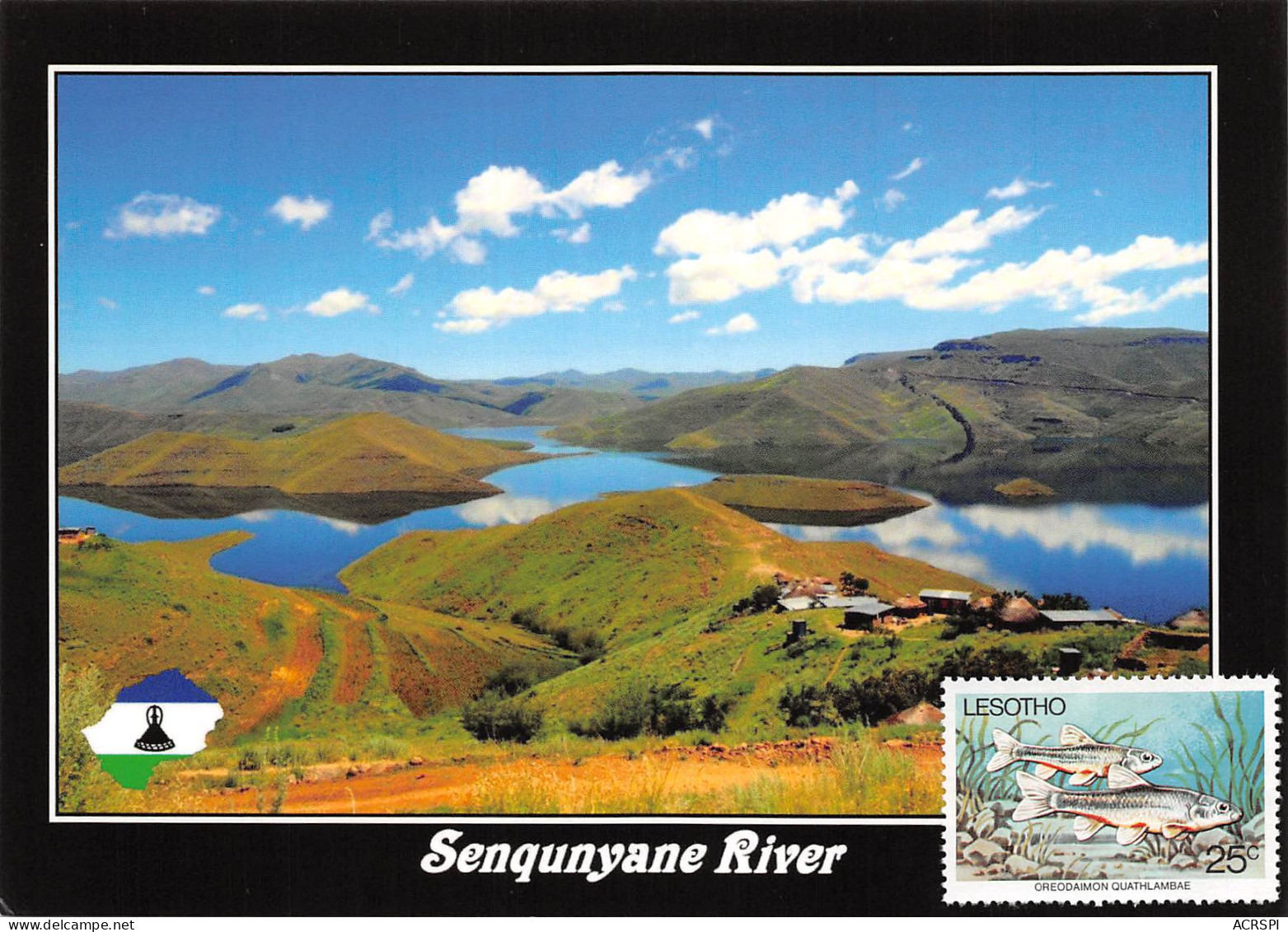 LESOTHO Lessouto SenqunyaneRiver Timbre D'Oreodaimon Quathllambae  Carte Vierge Non Circulé (Scans R/V) N° 78 \MP7102 - Lesotho