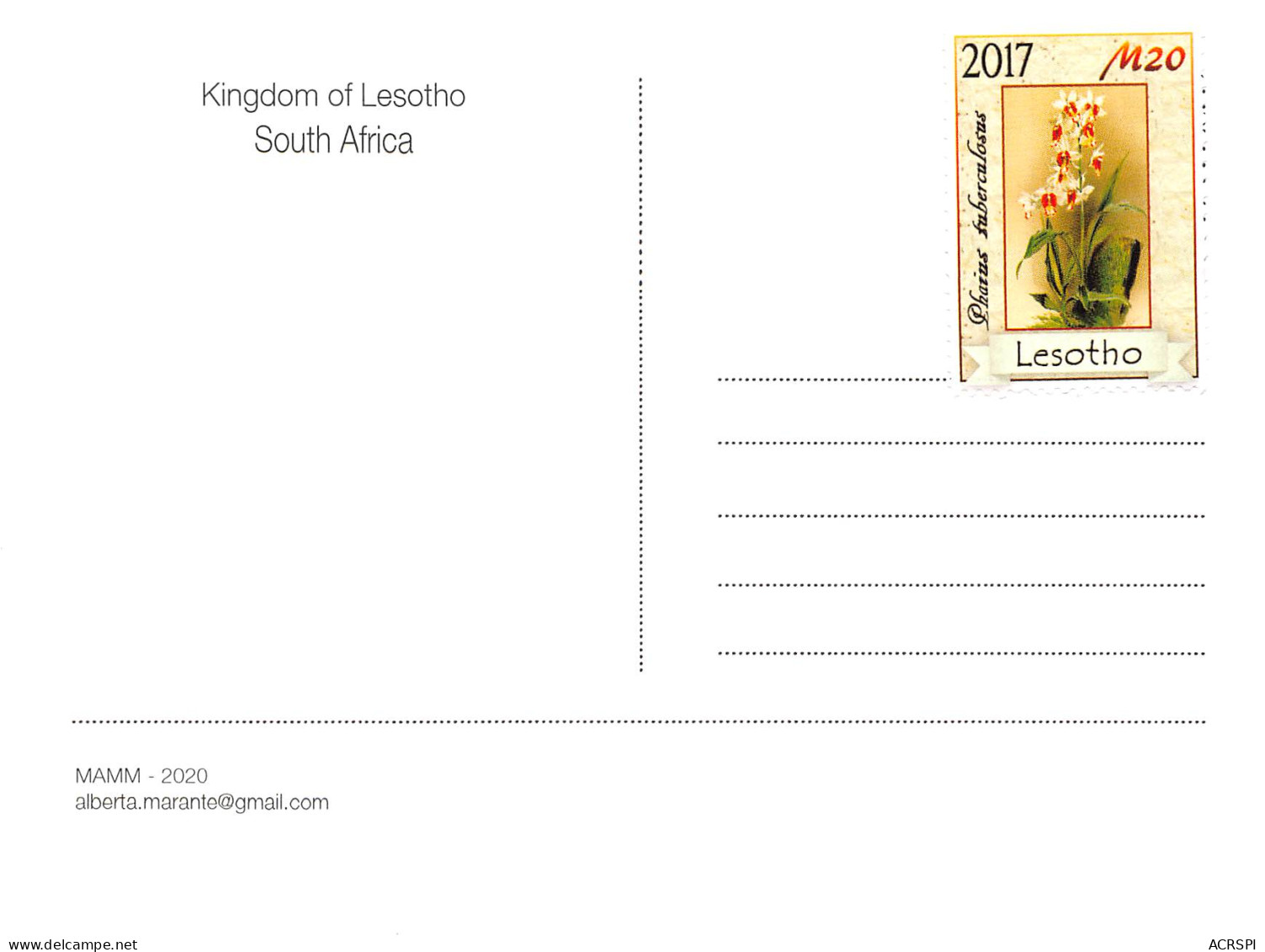 LESOTHO Lessouto MALUTI Carte Vierge Non Circulé (Scans R/V) N° 73 \MP7102 - Lesotho