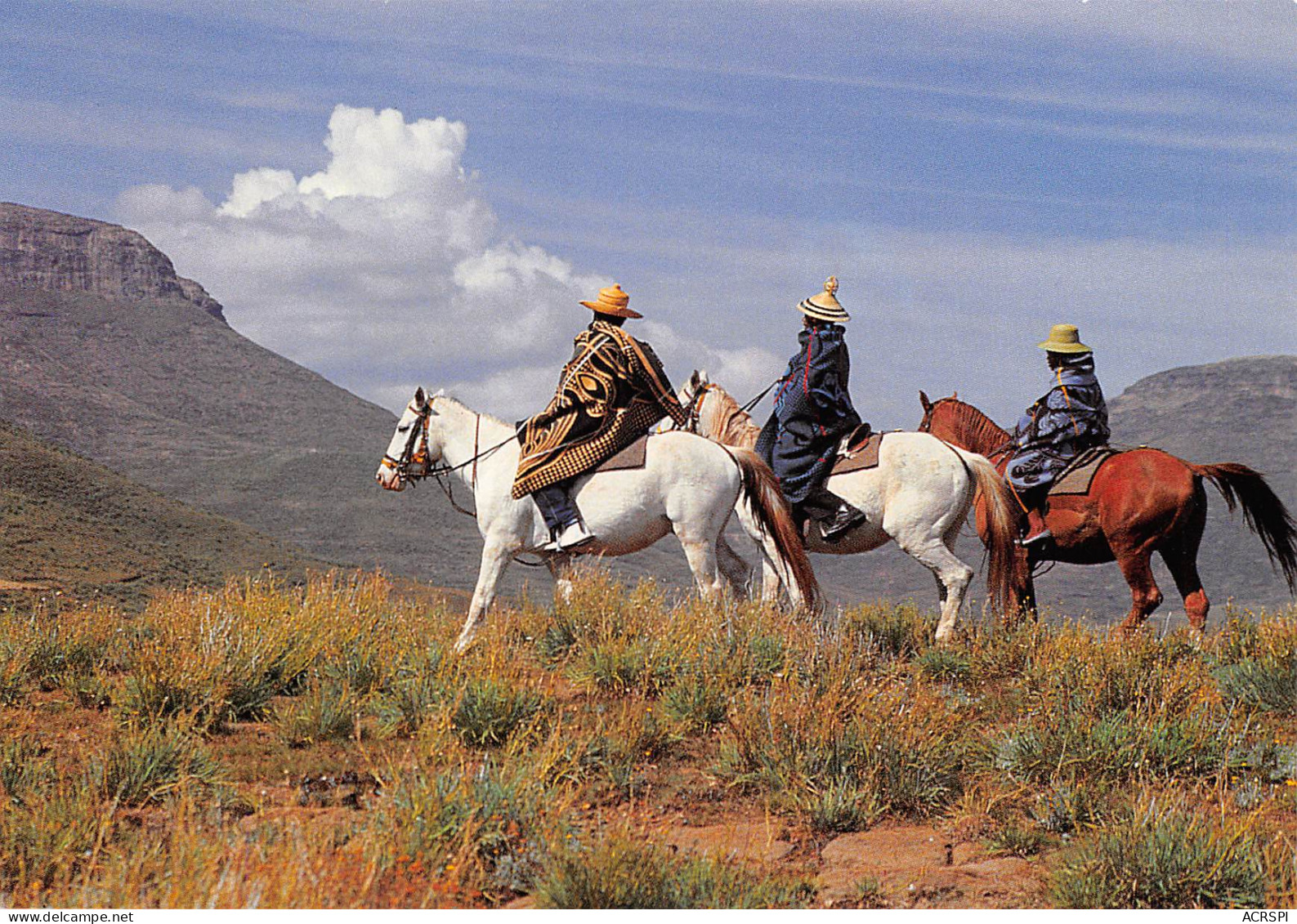 LESOTHO Lessouto Cavaliers à Molimo-Nthuse BASOTHO Carte Vierge Non Circulé (Scans R/V) N° 61 \MP7102 - Lesotho