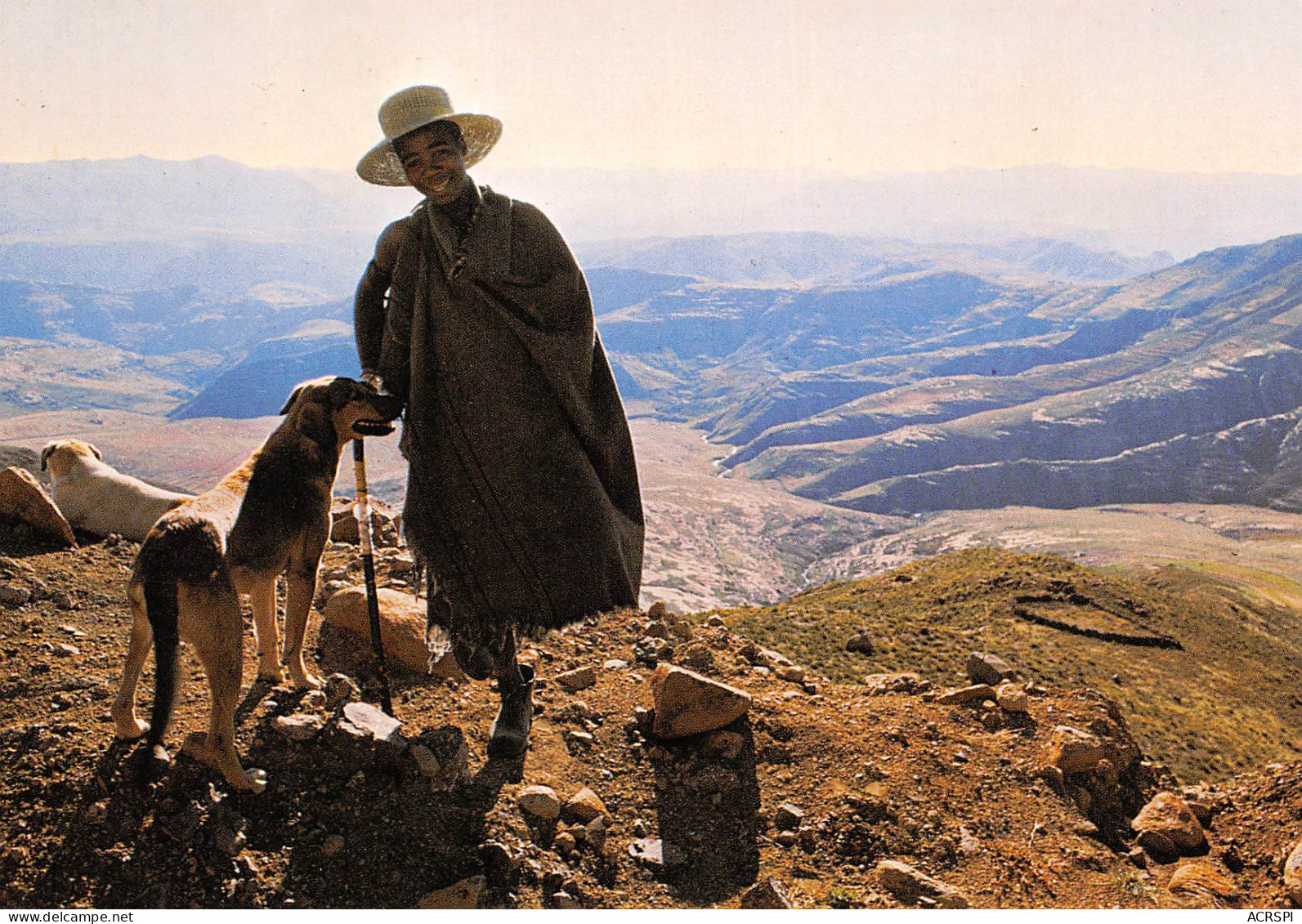 LESOTHO Lessouto Garçon De Troupeau Berger à Mpaki Carte Vierge Non Circulé (Scans R/V) N° 71 \MP7102 - Lesotho