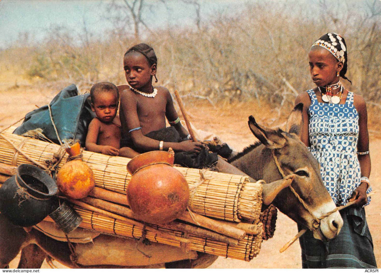 NIGER Famille PEULH BORORO à BOSSE BANGOU  (2 Scans) N° 33 \MP7113 - Niger