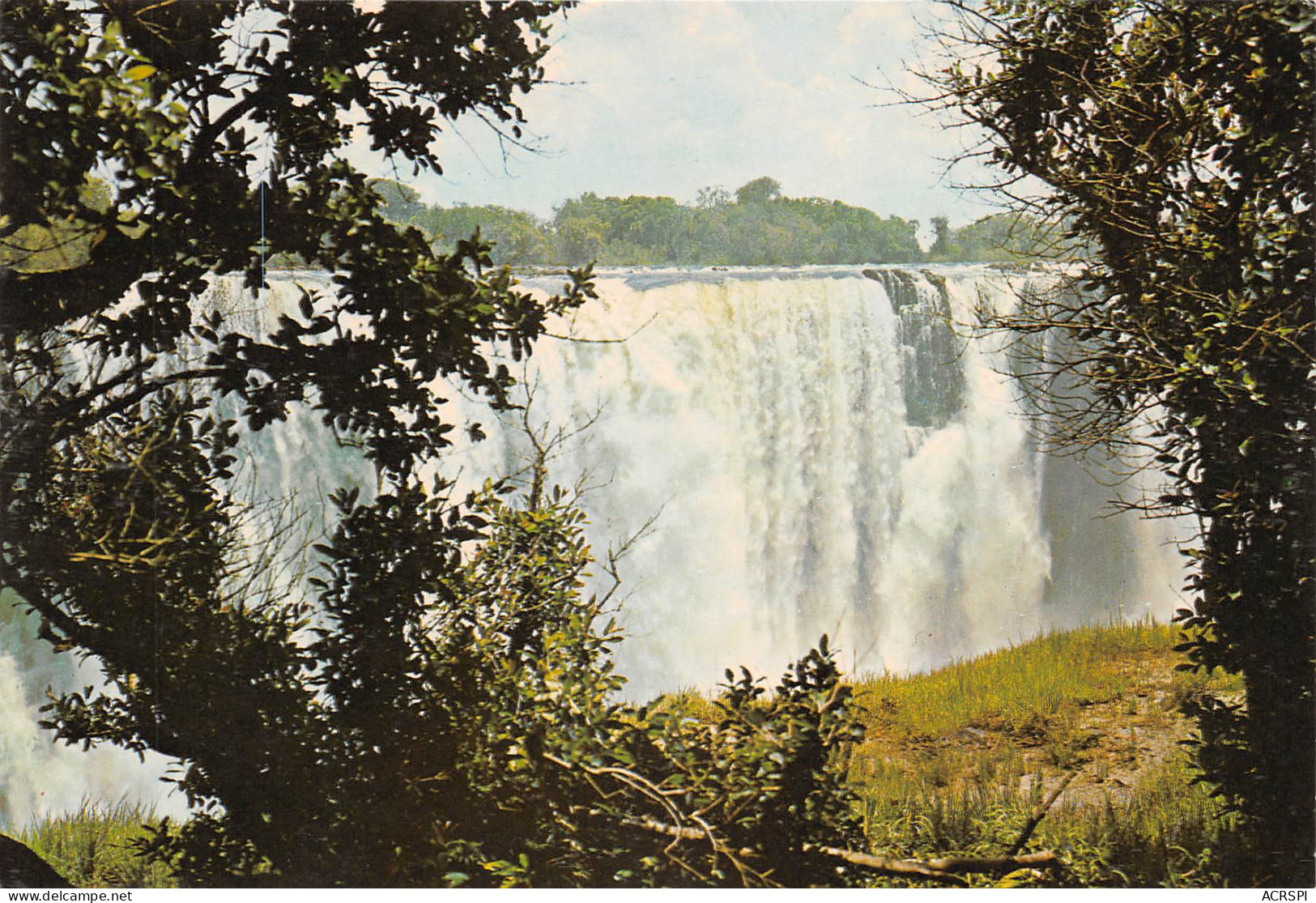 Zimbabwe Rhodesia Main Victoria Falls From Rain Forest Publisher PVT Salisbury HARARE (Scan R/V) N° 37 \MP7117 - Simbabwe