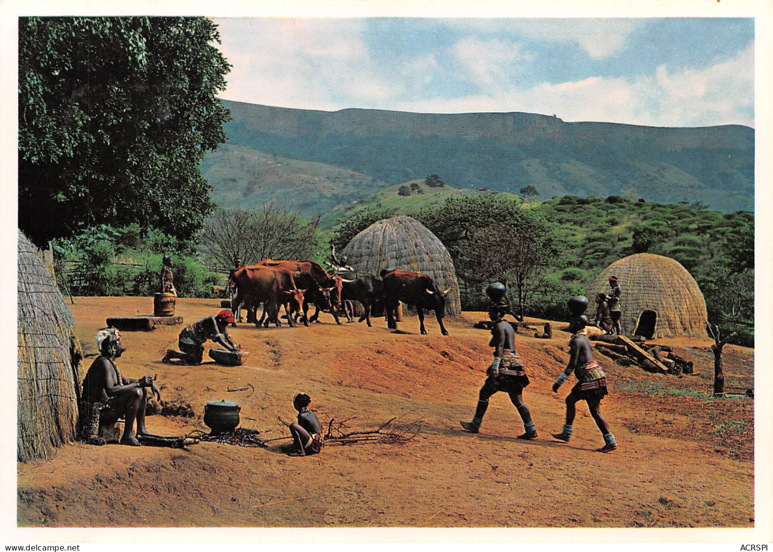 RSA Afrique Du Sud CIRCA NATAL ZULUS AT HOME IN THE BANTU RESERVE PTY DURBAN  (Scan R/V) N° 50 \MP7117 - Südafrika