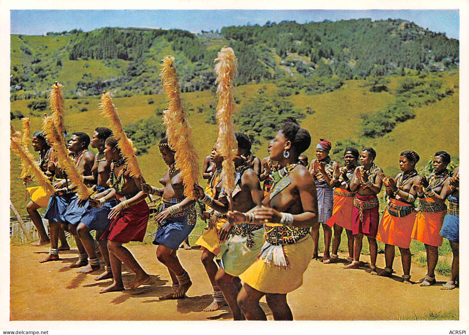 RSA Afrique Du Sud Natal, Gay Zulu Girls Performing A Traditional Dance PTY DURBAN  (Scan R/V) N° 51 \MP7117 - Afrique Du Sud