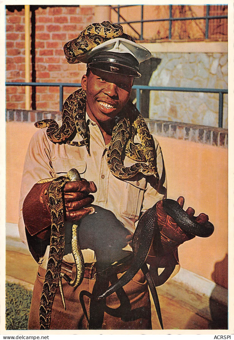 RSA Afrique Du Sud Port Elisabeth Attendant With Snakes PTY DURBAN CAPE TOWN Not Used Vierge   (Scan R/V) N° 59 \MP7117 - Afrique Du Sud