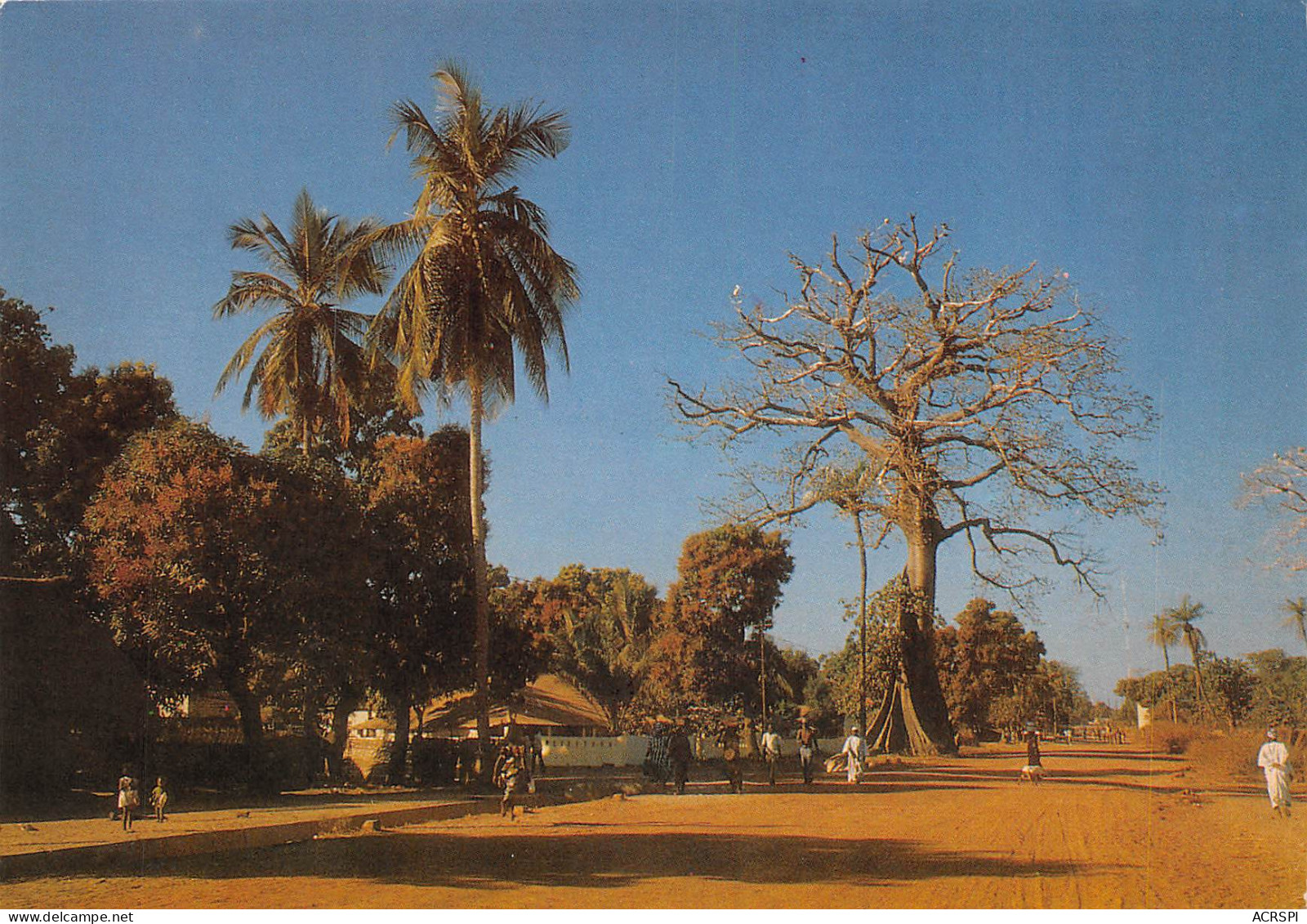 SENEGAL DAKAR Paysage De CASAMANCE  (Scan R/V) N° 56 MP7119 - Sénégal