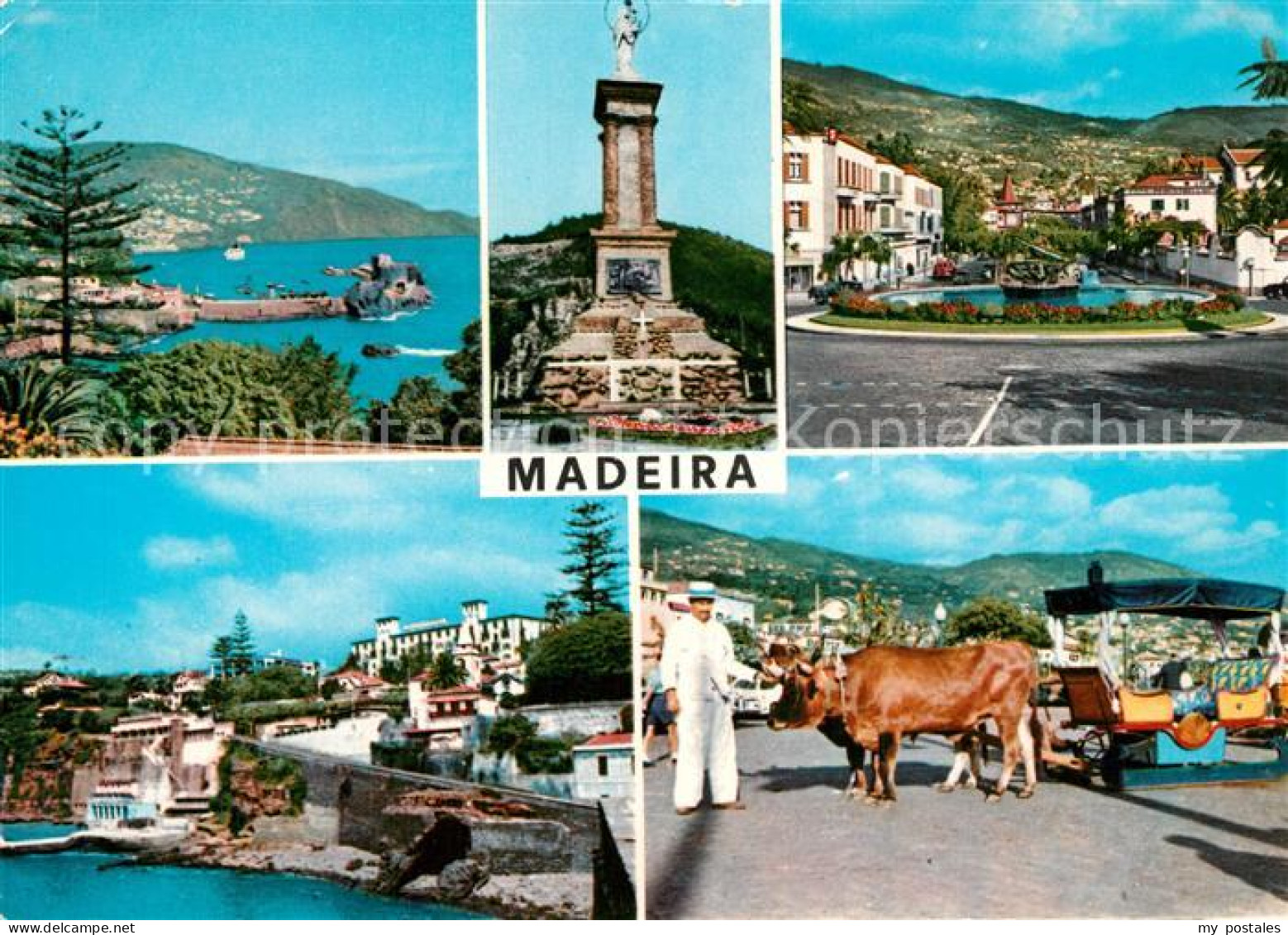 73295126 Madeira As Melhores Vistas Da Madeira Madeira - Altri & Non Classificati