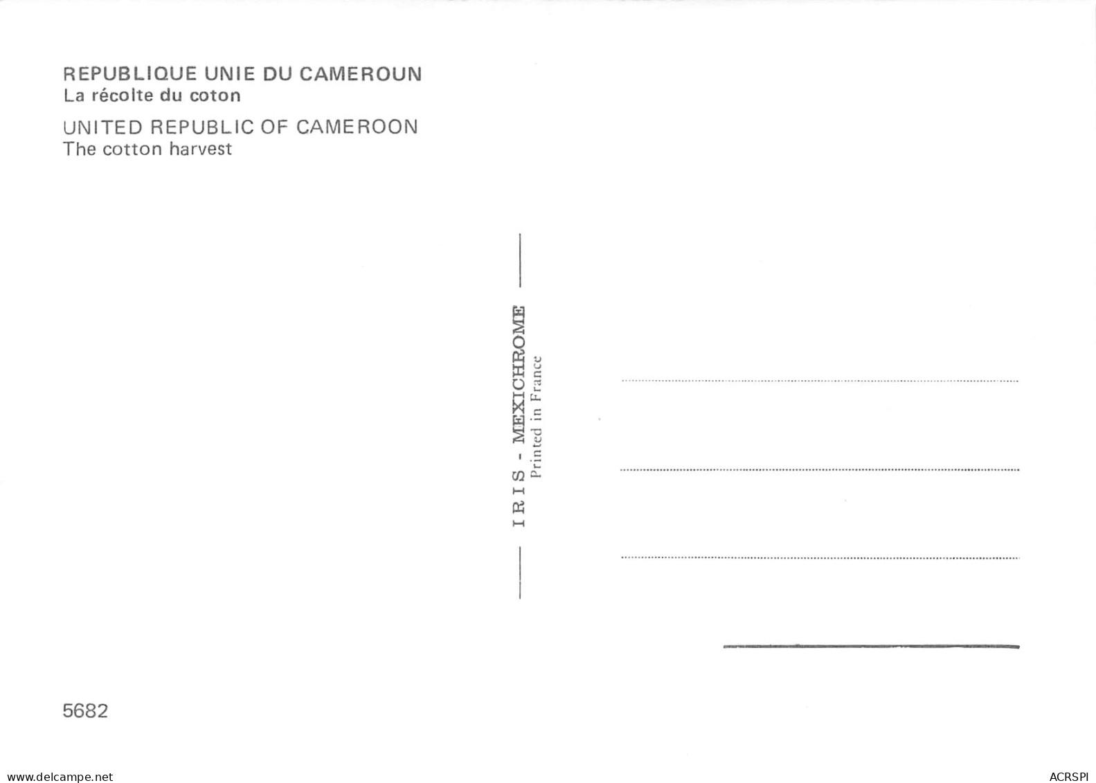 CAMEROUN PLATA Récolte Du Coton  Carte Vierge Non Circulé  édition IRIS  (Scan R/V) N° 76 \MP7122 - Camerún