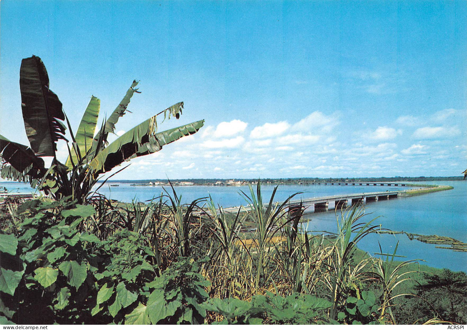 CAMEROUN DOUALA Pont Sur Le Wouri   Carte Vierge  éd Comgetour Carte Vierge Non Circulé (Scan R/V) N° 91 \MP7122 - Cameroon