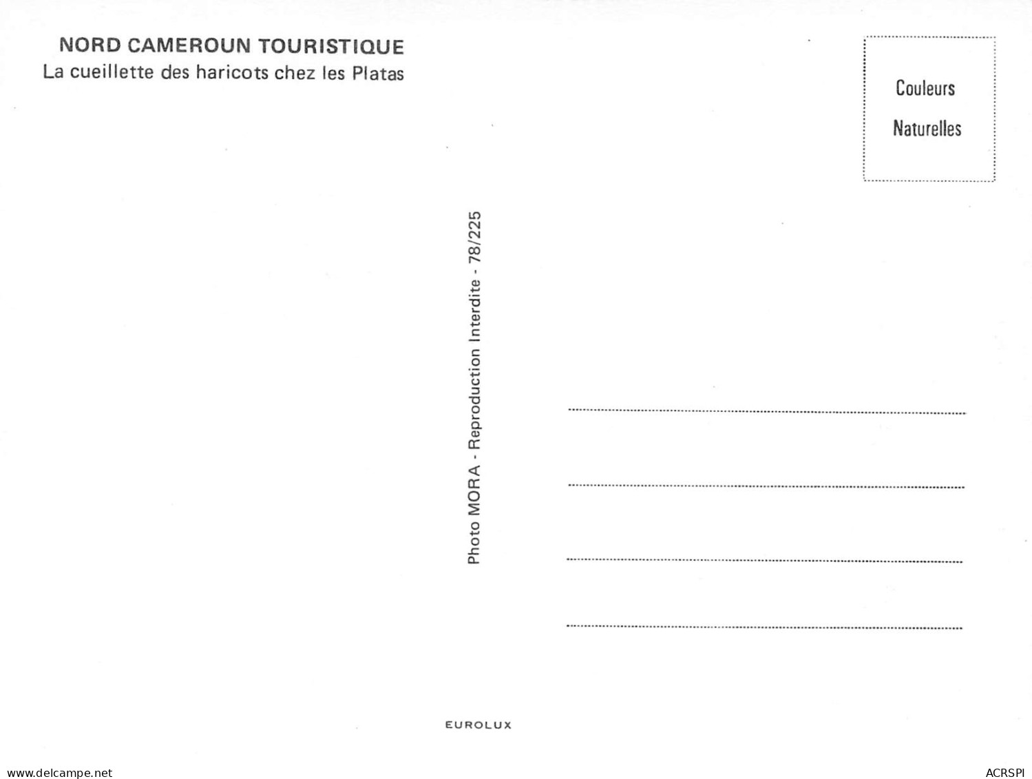 CAMEROUN PLATA Cueillette Des Haricots Chez Les Platas édition Mora Carte Vierge Non Circulé   (Scan R/V) N° 75 \MP7122 - Camerun