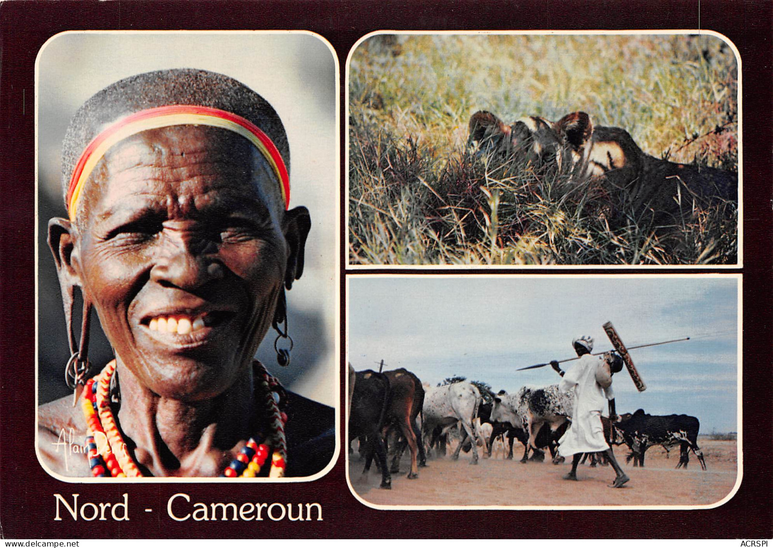 CAMEROUN Du Nord Femme KIRDI Lion WAZA Kousseri Non Circulé Format  17 X 11,8 Cm Photo Denis (Scan R/V) N° 87 \MP7122 - Camerún