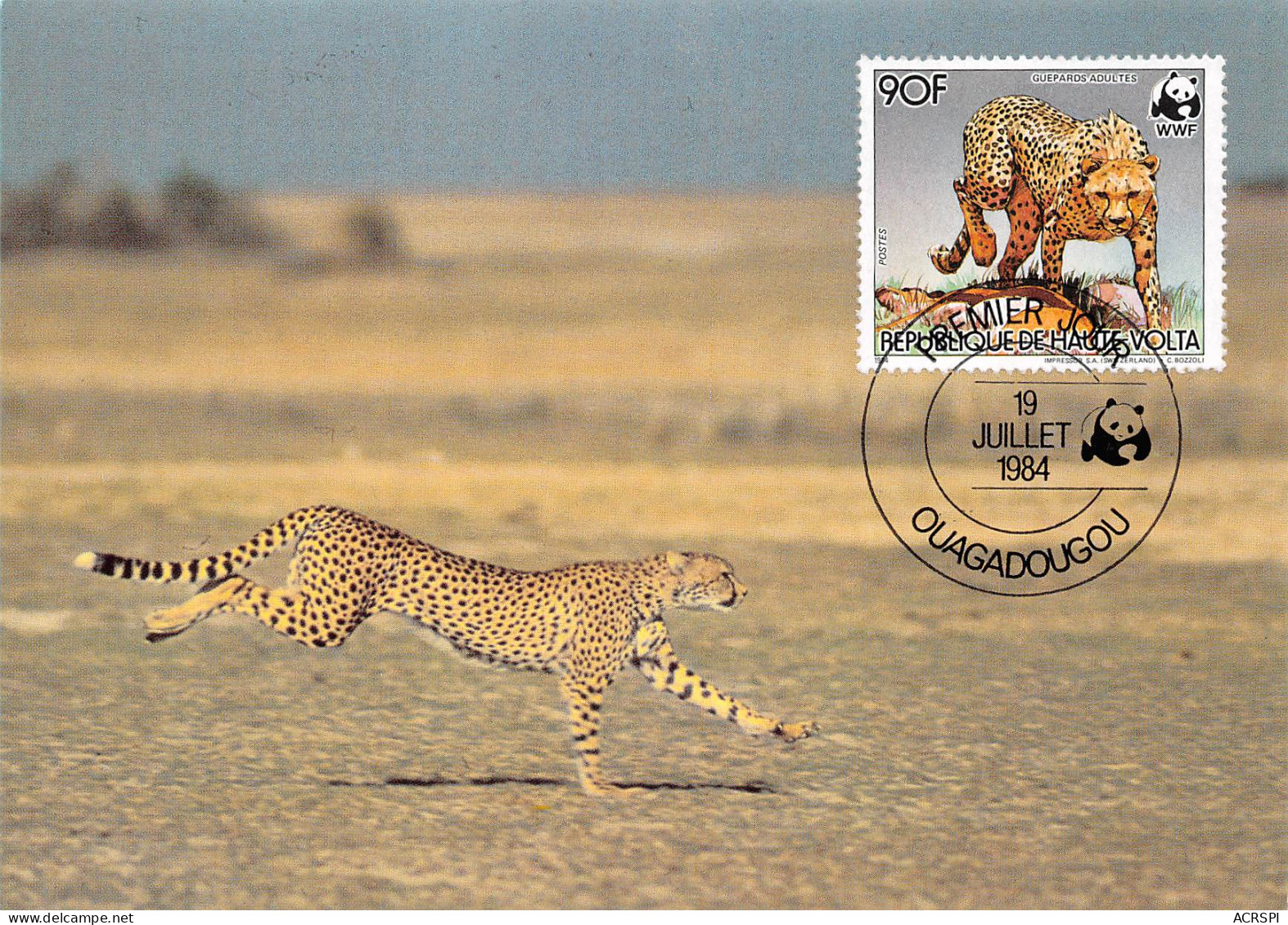 Burkina Faso Haute-Volta 1984 WWF Panthère Leopard Guépard Carte Premier Jour 90 Francs (Scan R/V) N° 67 \MP7123 - Burkina Faso