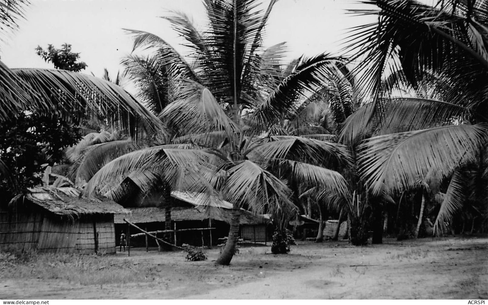 CONGO Brazzaville DIOSSO Paillottes Du Village Non Circulé Dos Vierge Studio-Arcades Pointe-noire (2 Scan) N° 49 \MP7125 - Brazzaville