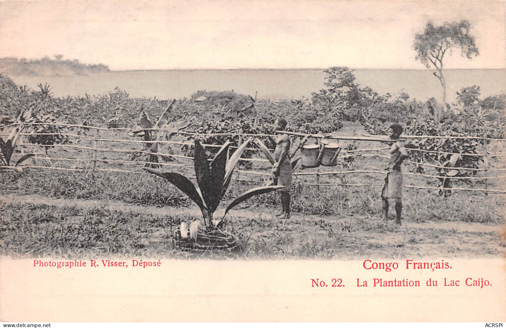 CONGO Brazzaville La Plantation Du Lac Caijo  Photo R.Visser Carte Vierge Non Circulé (Scan R/V) N° 45 \MP7125 - Brazzaville