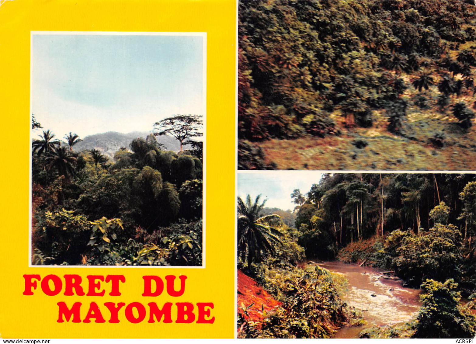 CONGO Brazzaville La Foret De MAYOMBE   édition IRIS (Scan R/V) N° 21 \MP7126 - Brazzaville
