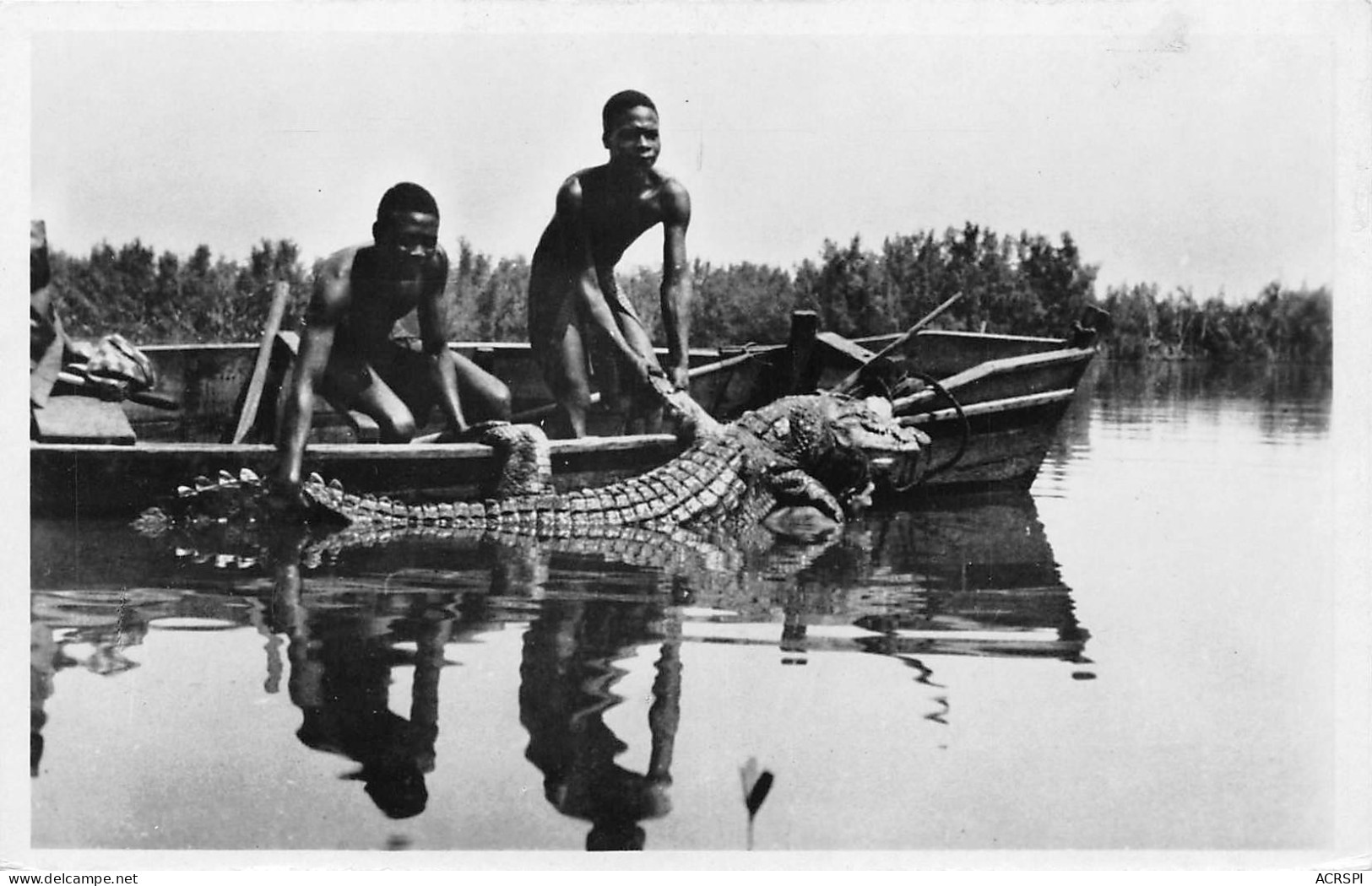 GUINEE Française Capture D'un Caiman Photo VIALLA TENAILLE Chasseur De Caimans Crocodiles (Scan R/V) N° 9 \MP7132 - Guinea Francesa
