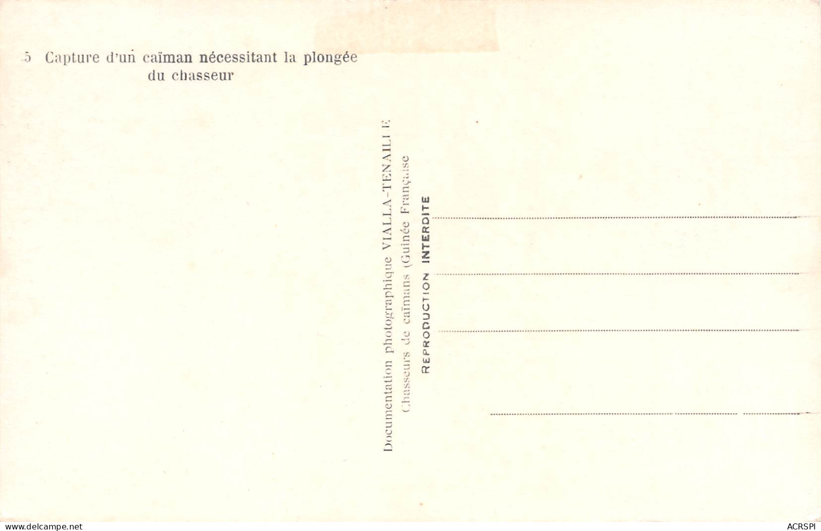 GUINEE Française Capture D'un Caiman Photo VIALLA TENAILLE Chasseur De Caimans Crocodiles (Scan R/V) N° 9 \MP7132 - Guinea Francesa