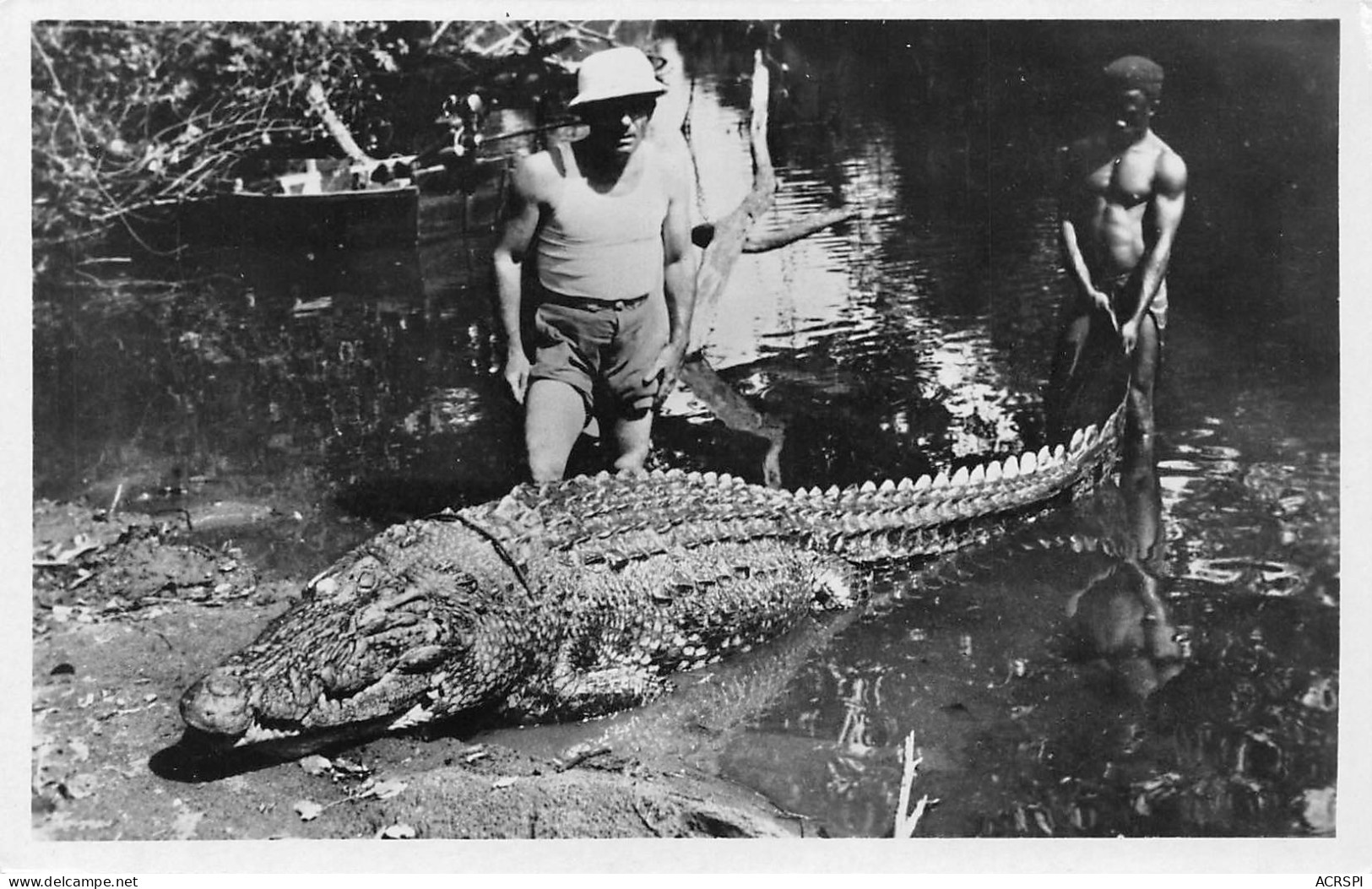 GUINEE Française Capture D'un Caiman Photo VIALLA TENAILLE Chasseur De Caimans Crocodiles (Scan R/V) N° 10 \MP7132 - Guinée Française