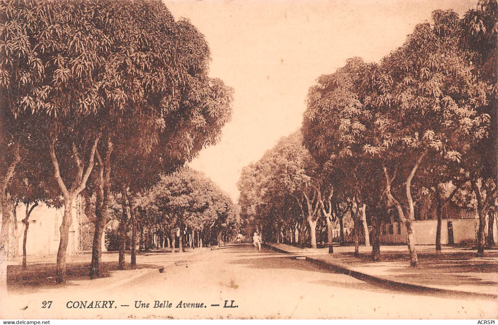 GUINEE Française CONAKRY Une Belle Avenue L.L Carte Vierge Non Circulé (Scan R/V) N° 30 \MP7133 - Guinea Francesa