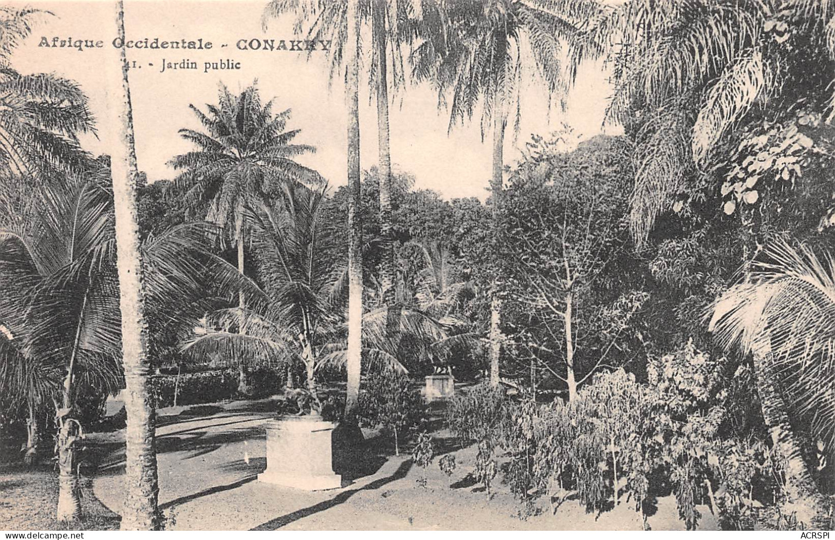 GUINEE Française CONAKRY Le Jardin Public Carte Vierge Non Circulé (Scan R/V) N° 3 \MP7134 - Französisch-Guinea