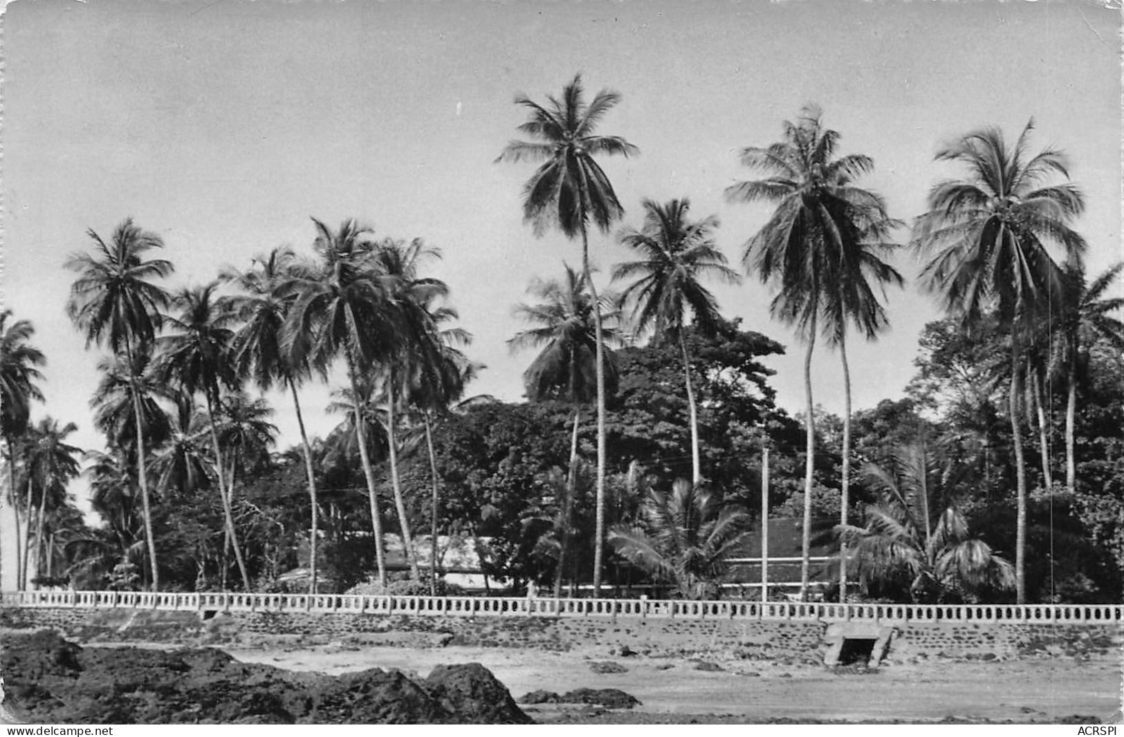 GUINEE Française CONAKRY La Corniche Beau Timbre éd Libraport (Scan R/V) N° 31 \MP7134 - Französisch-Guinea