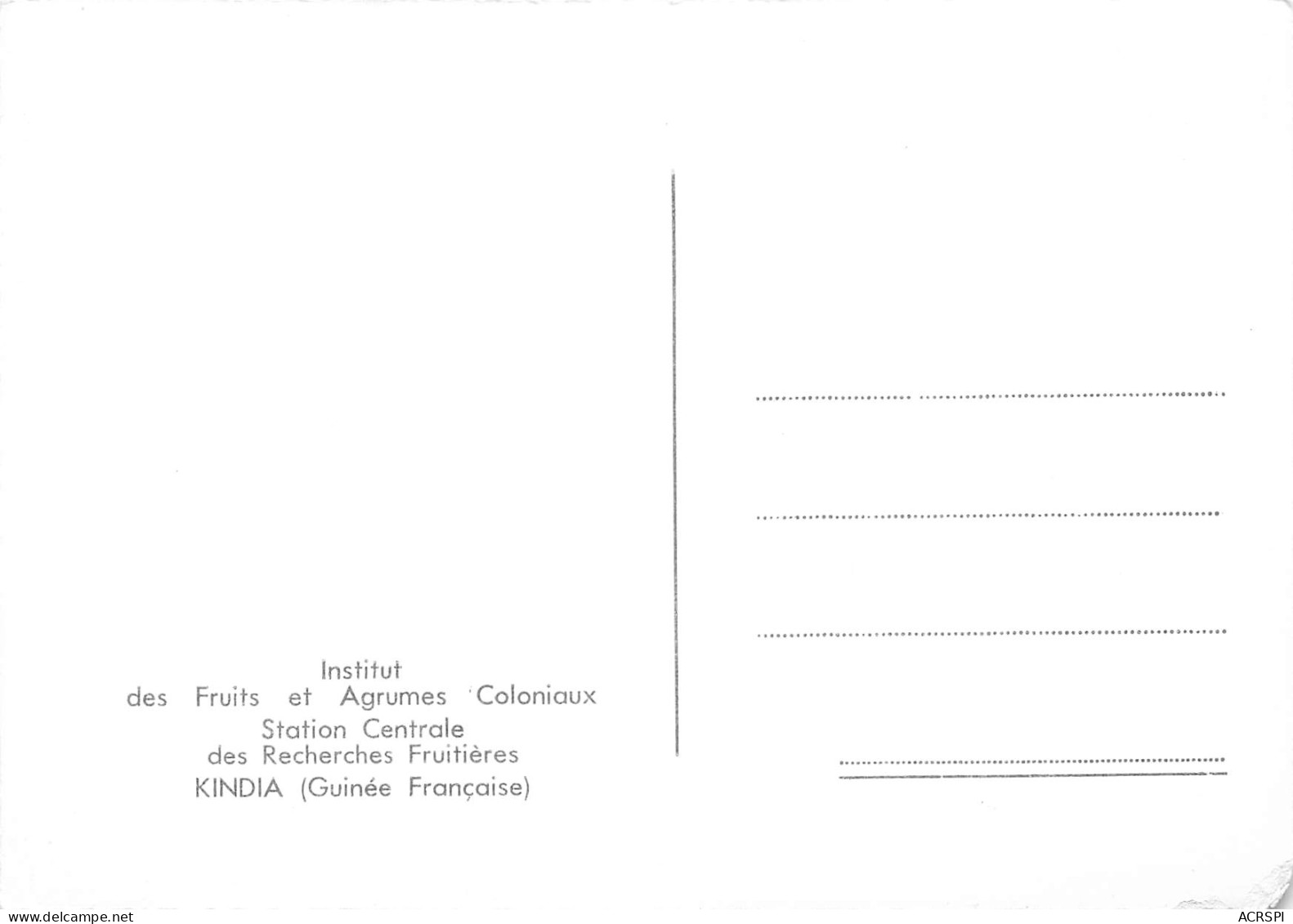 GUINEE Française KINDIA L'institut De Recherches Fruitières De L'I.F.A.C  Vierge Non Voyagé (Scan R/V) N° 54 \MP7134 - French Guinea