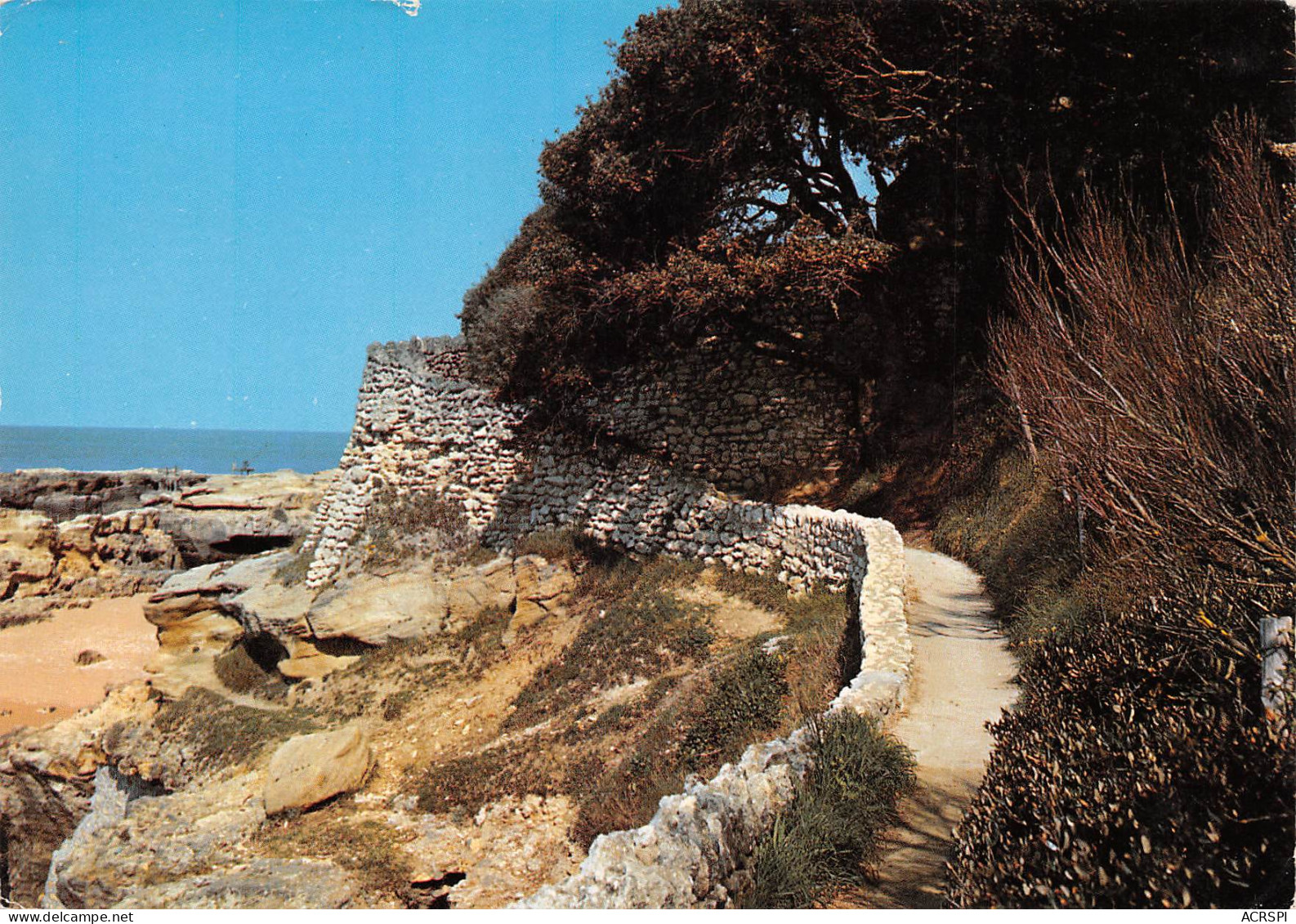 17 SAINT-PALAIS-SUR-MER  Corniche Des Pierrières  (Scan R/V) N° 62 \MP7142 - Saint-Palais-sur-Mer