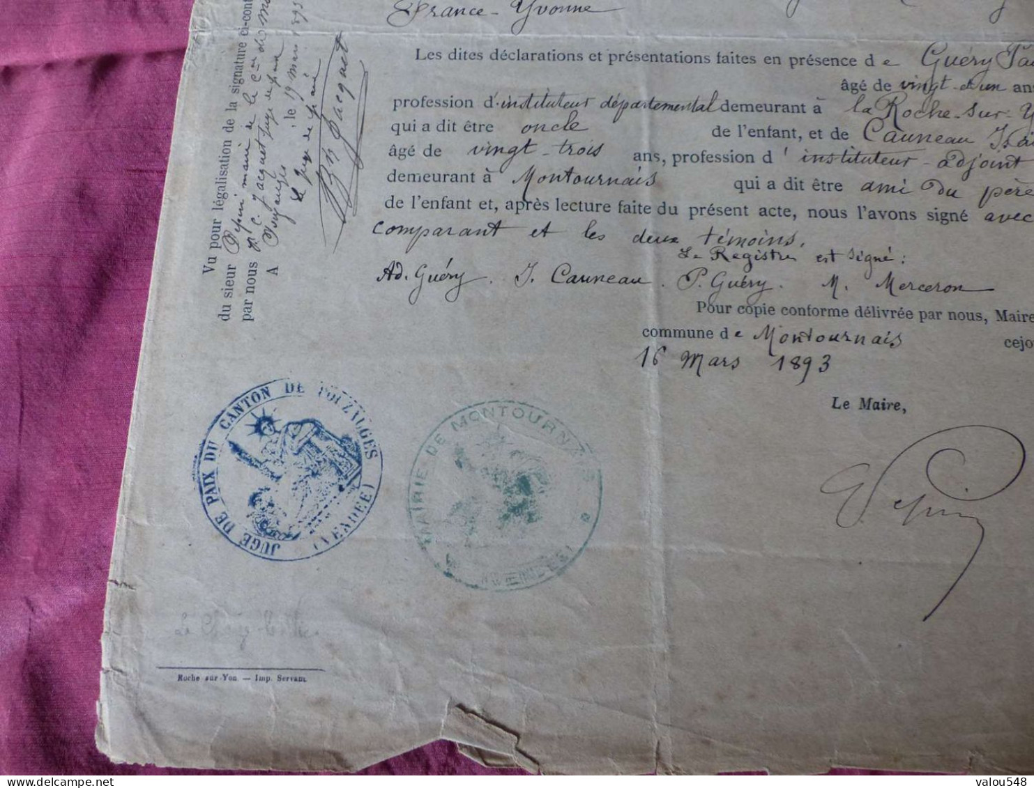 VP-8 , Extrait Acte De Naissance , Département De La Vendée, Fontenay Le Comte , Montournais, 1881 - Historical Documents